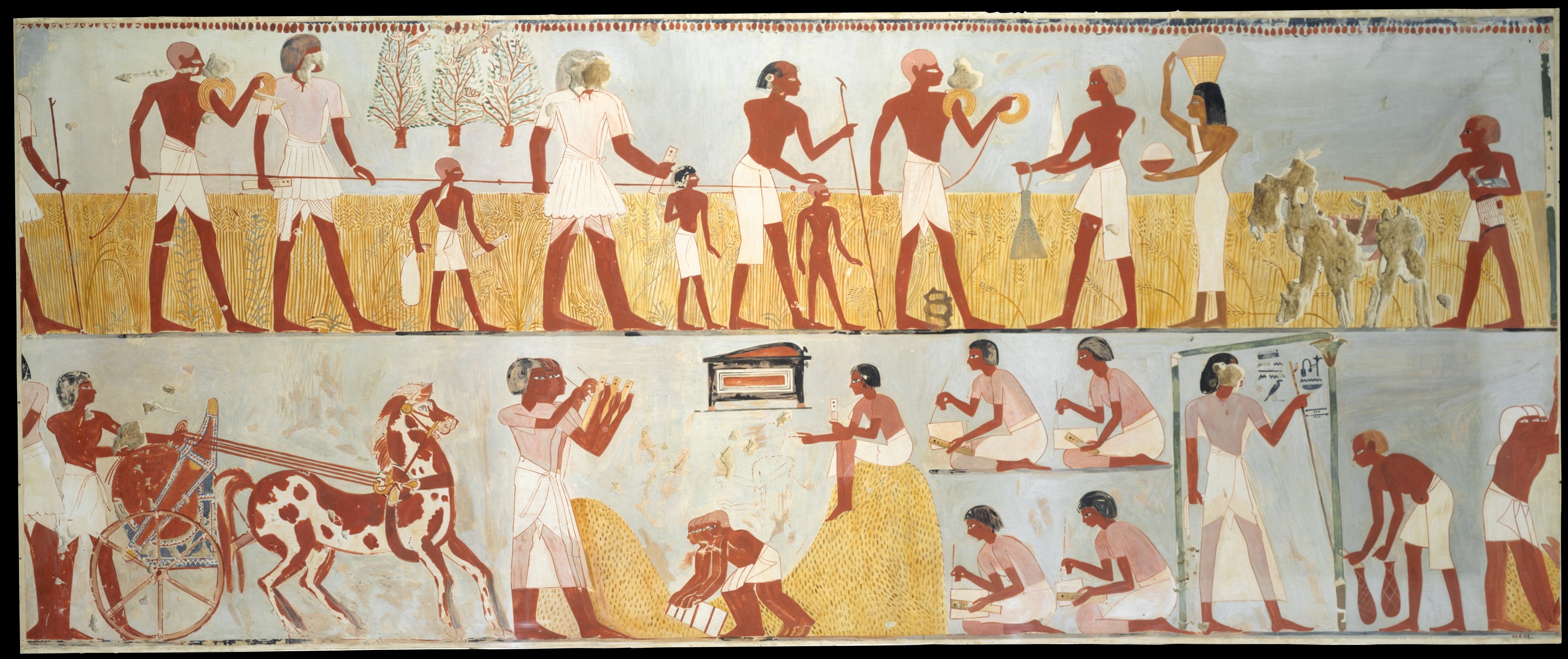 Harvest Scenes, Tomb of Menna
