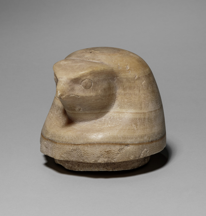 Canopic Jar with Falcon's Head (lid)