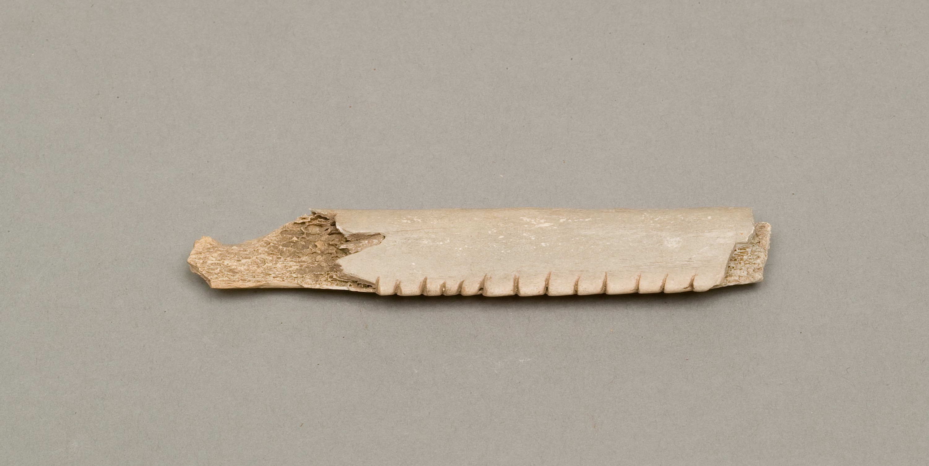 Weaving tool (?)