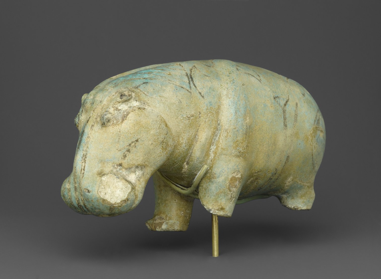 Hippopotamus