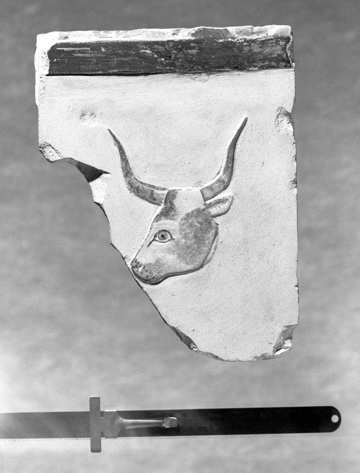 Relief Representation of a Bull's Head