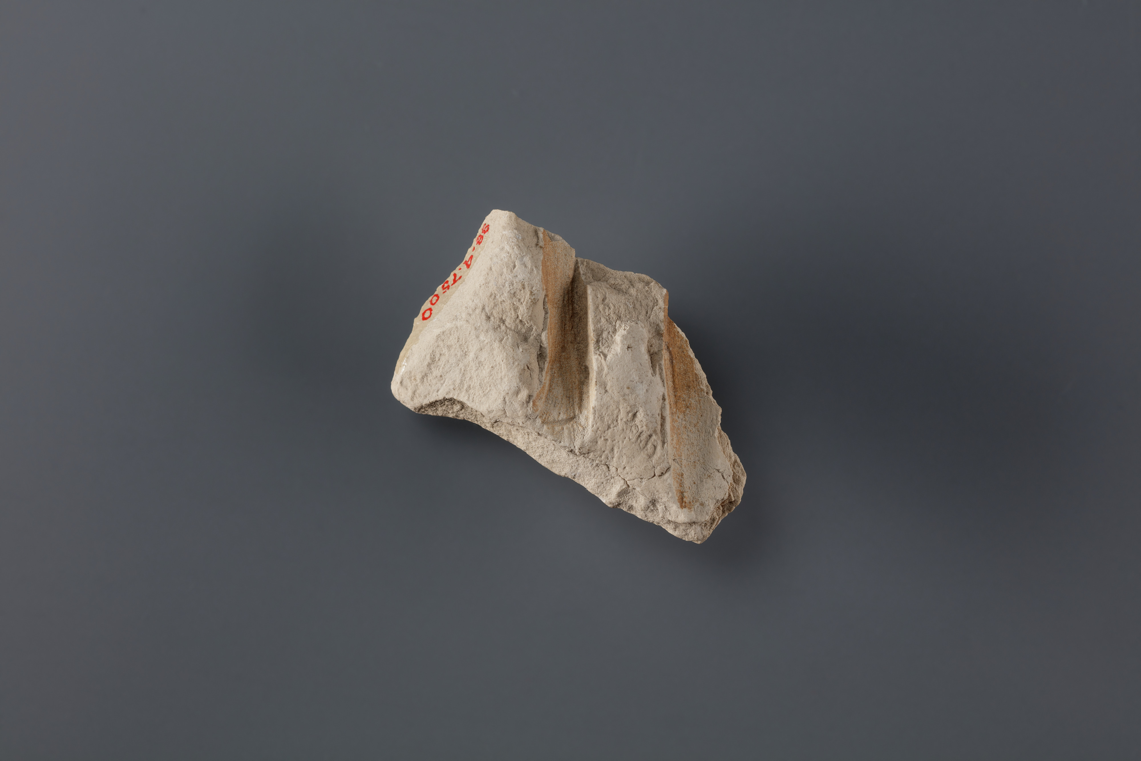 Relief fragment possibly from the tomb of Mereri