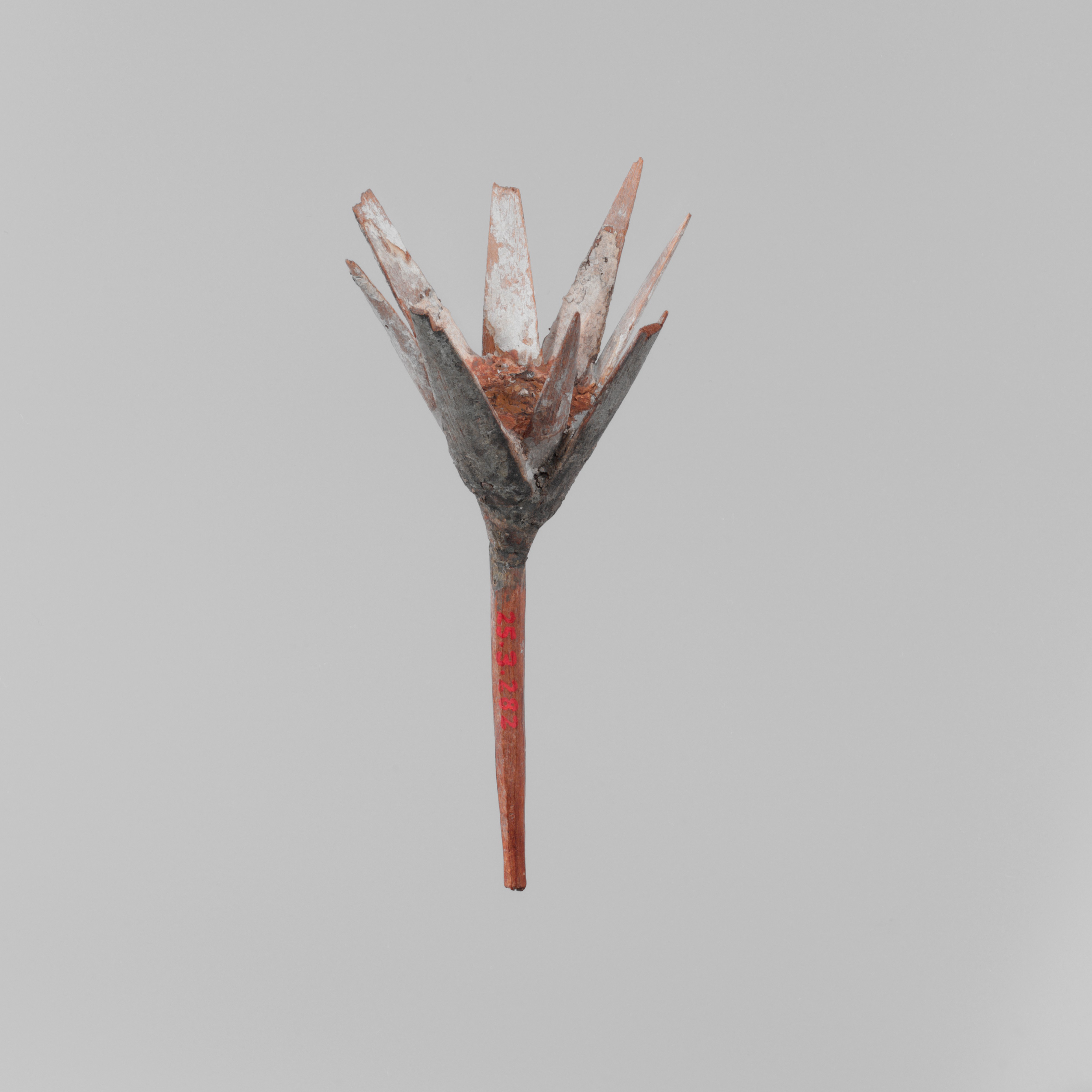 Model Lotus Flower
