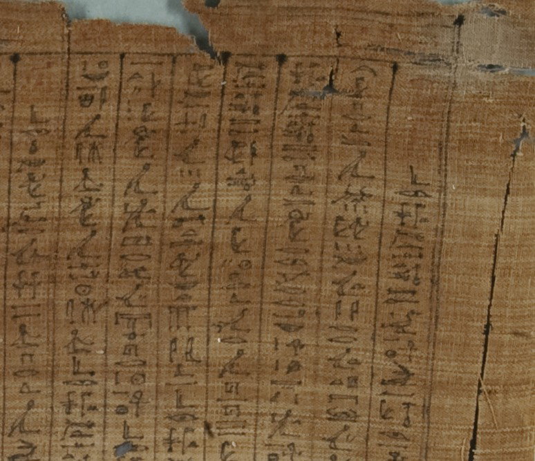 Mummy Bandage, Shed-sw-nefertem, son of Ankh-wenen-nefer and Wadjet-em-hat