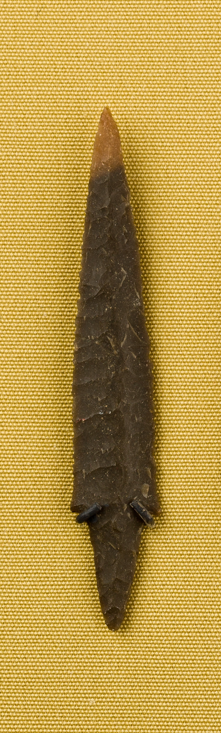 Projectile Point