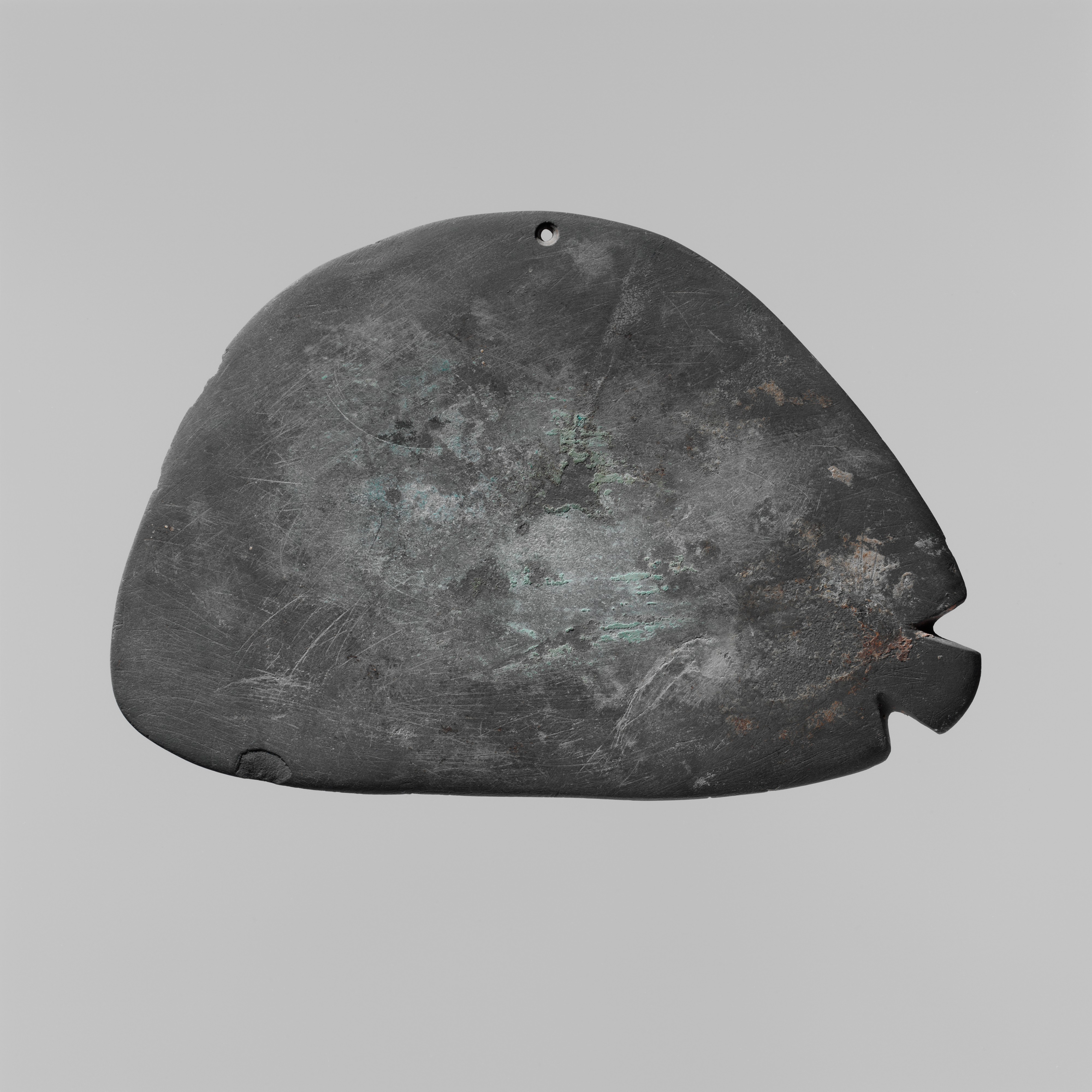 Fish-shaped palette