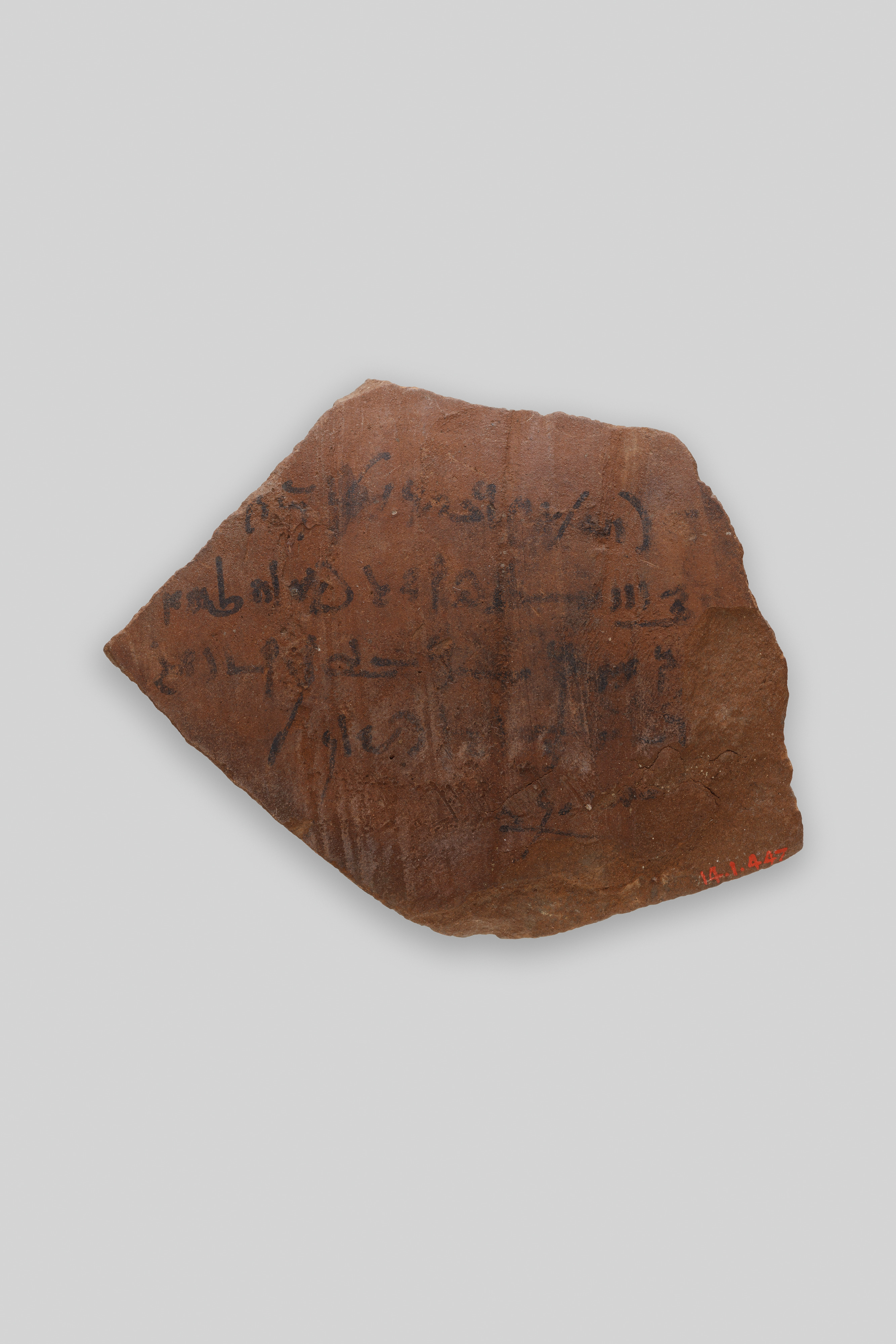Ostracon