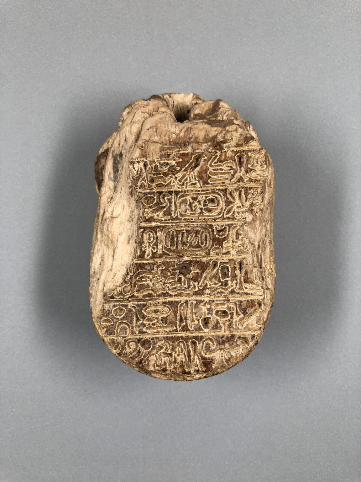 Lion Scarab of Amenhotep III