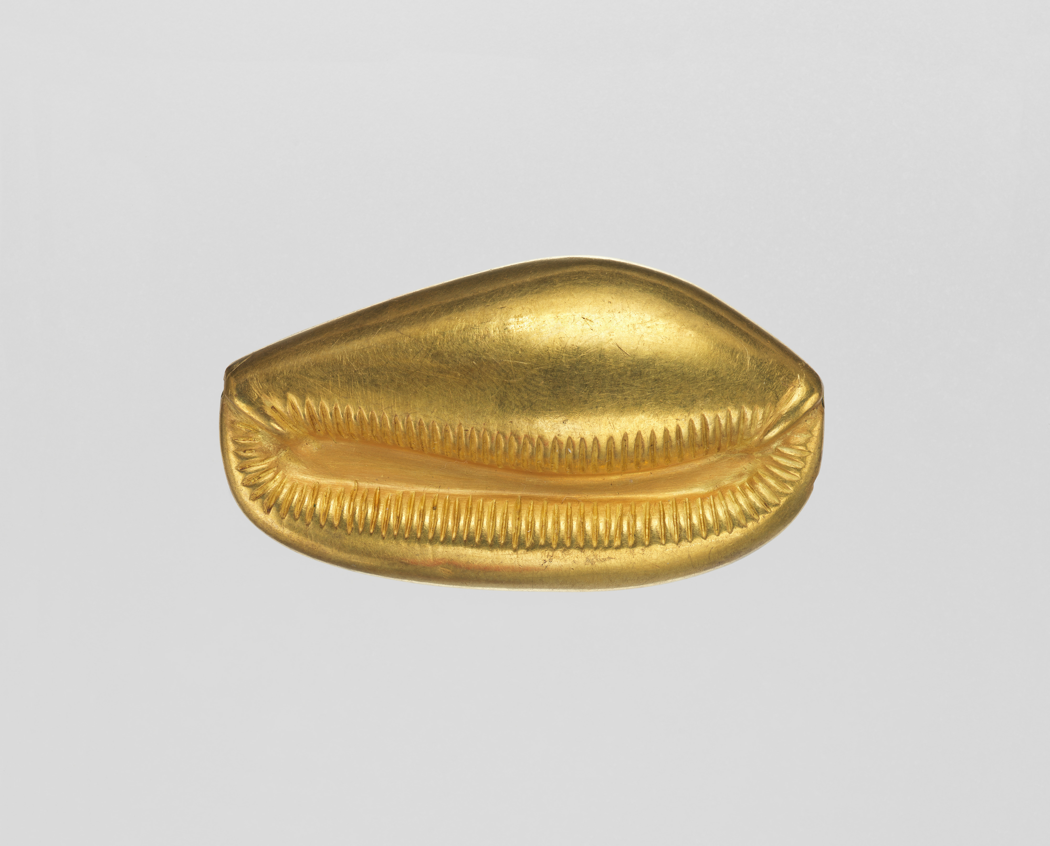 Cowrie shell bead