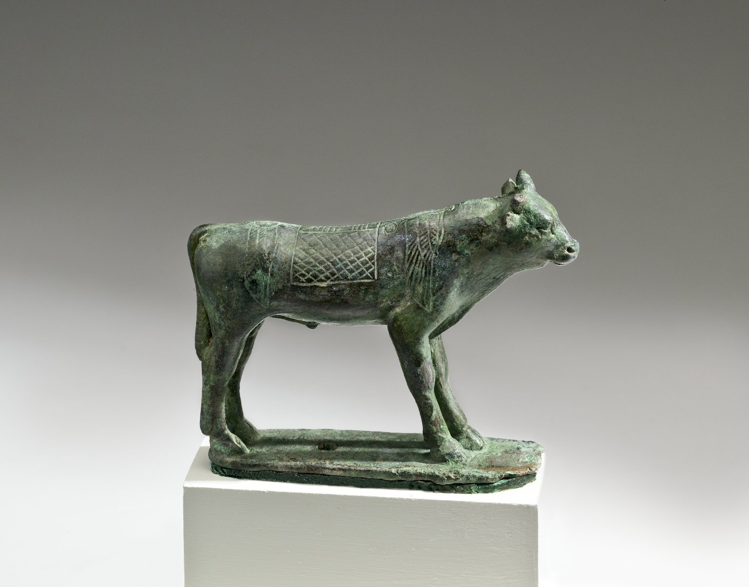 Apis Bull