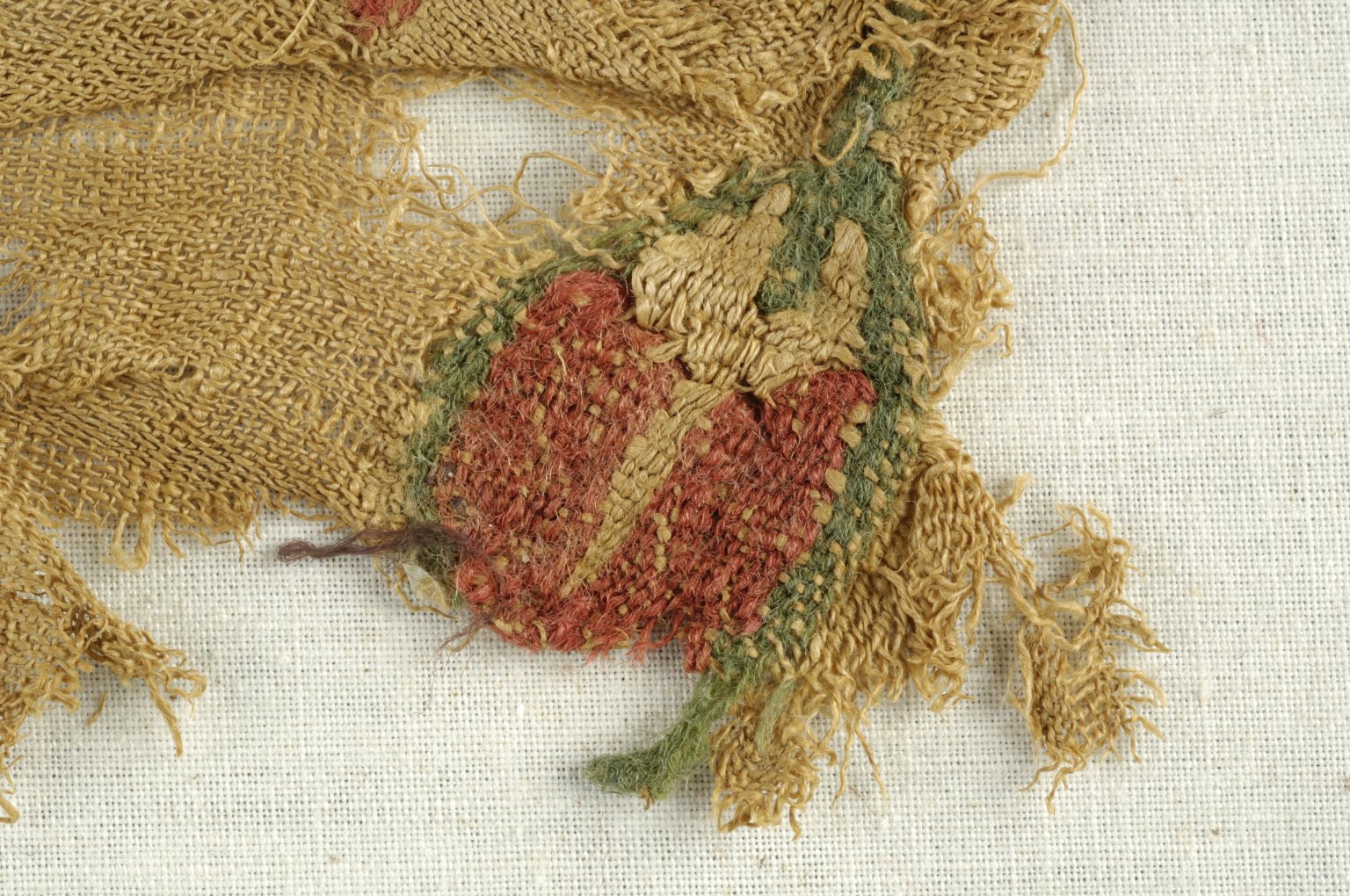 Fragment with Botanical Decoration