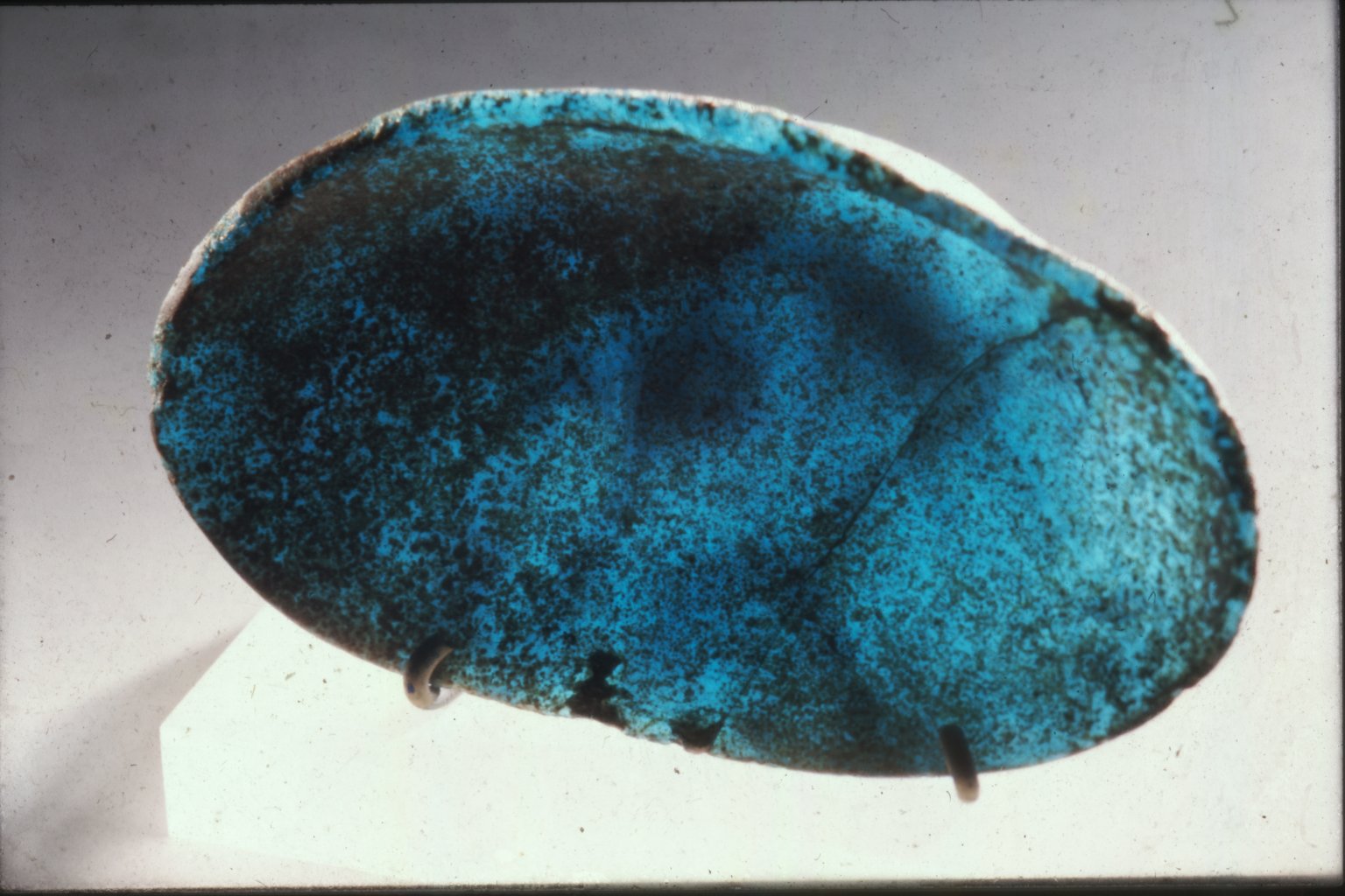 Dish in Form of Seashell