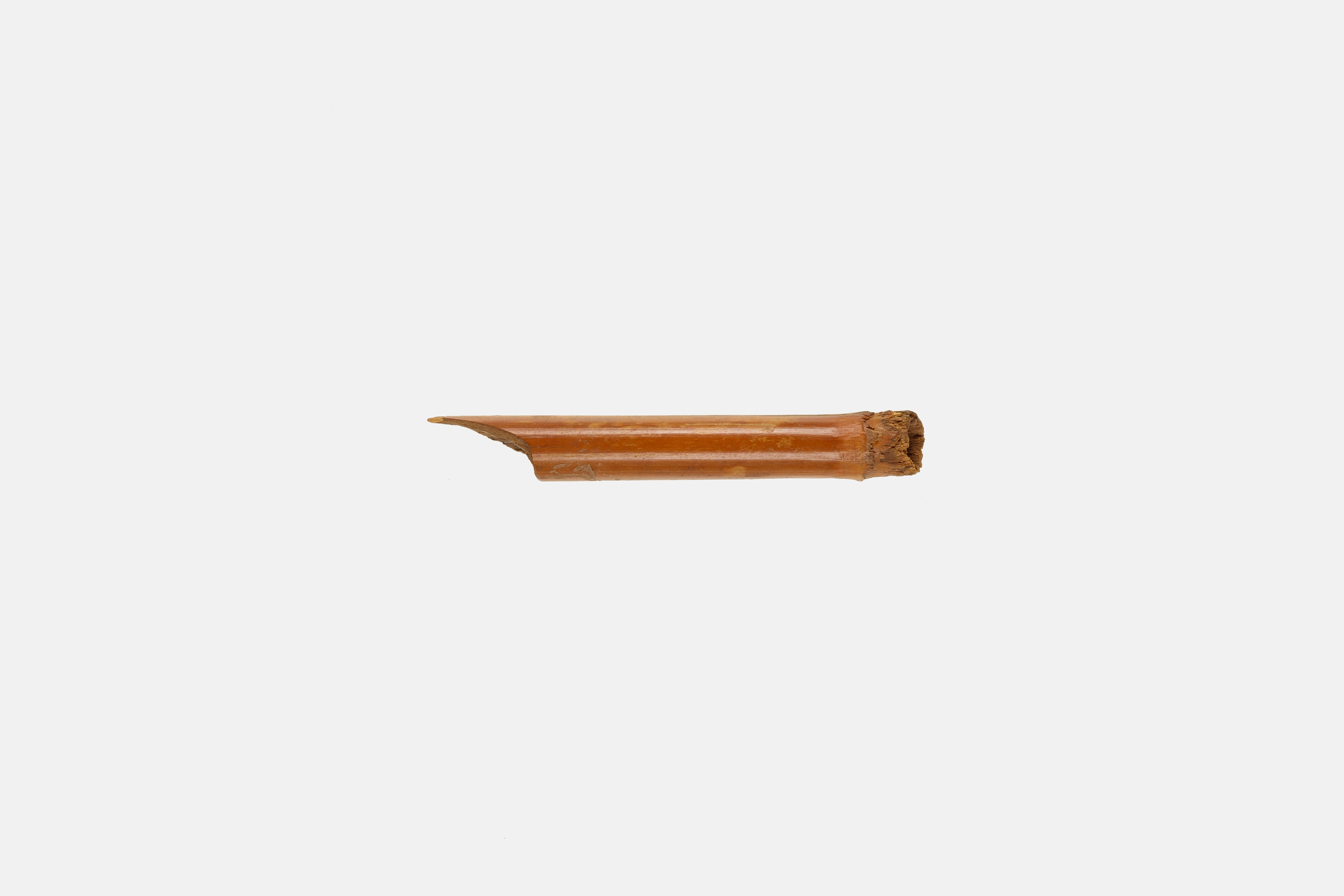 Pen