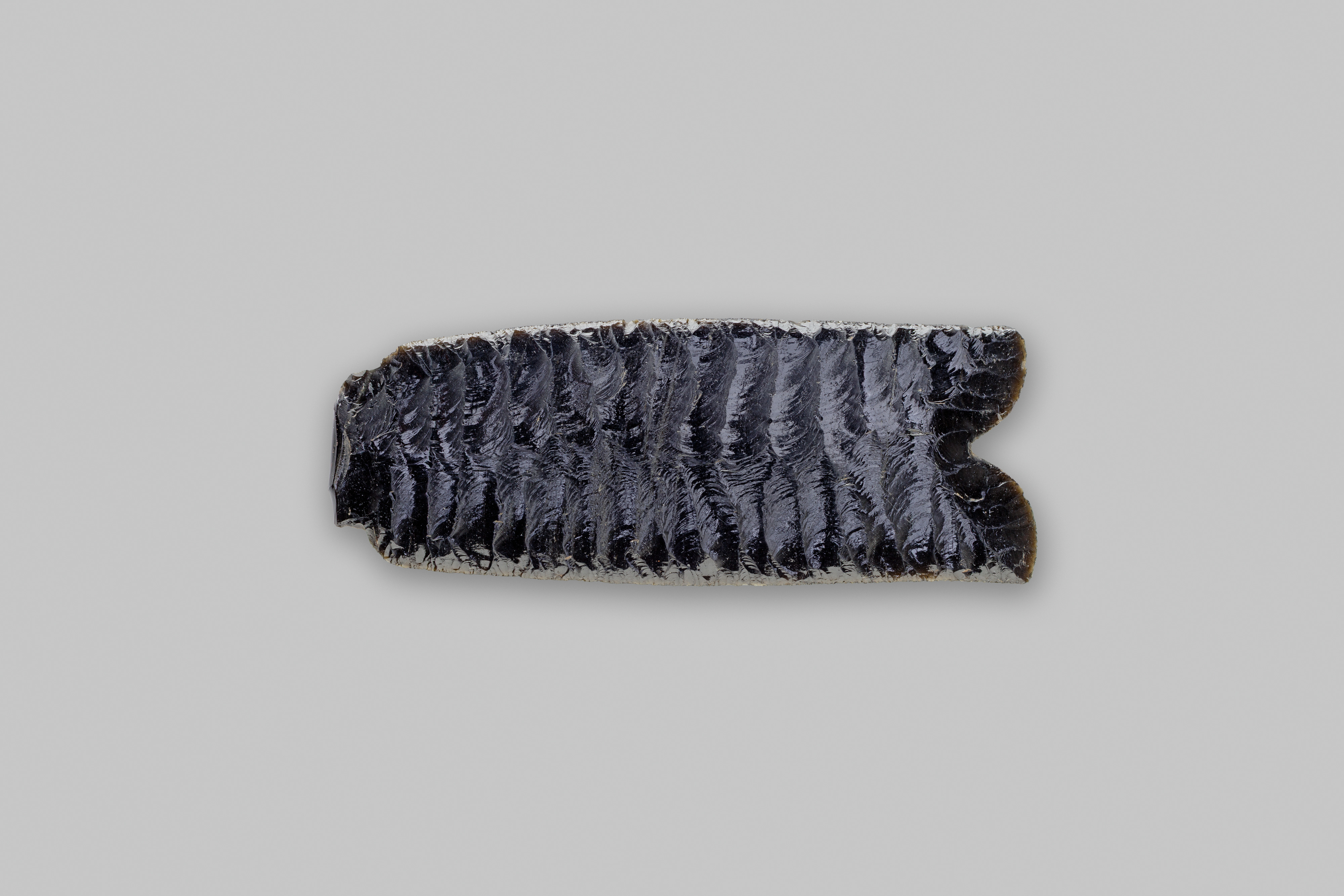 Fishtail Knife