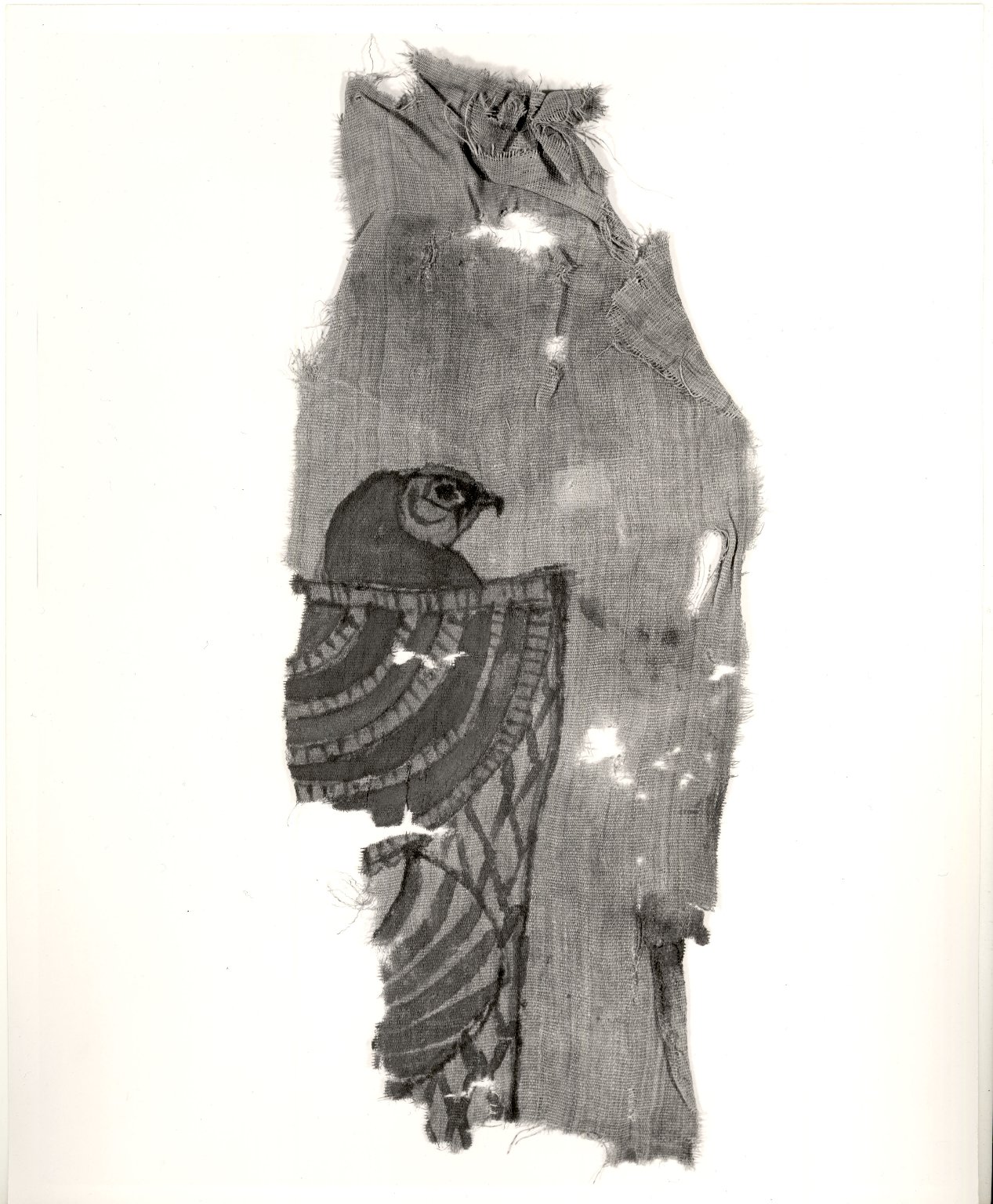 Mummy Shroud Fragments