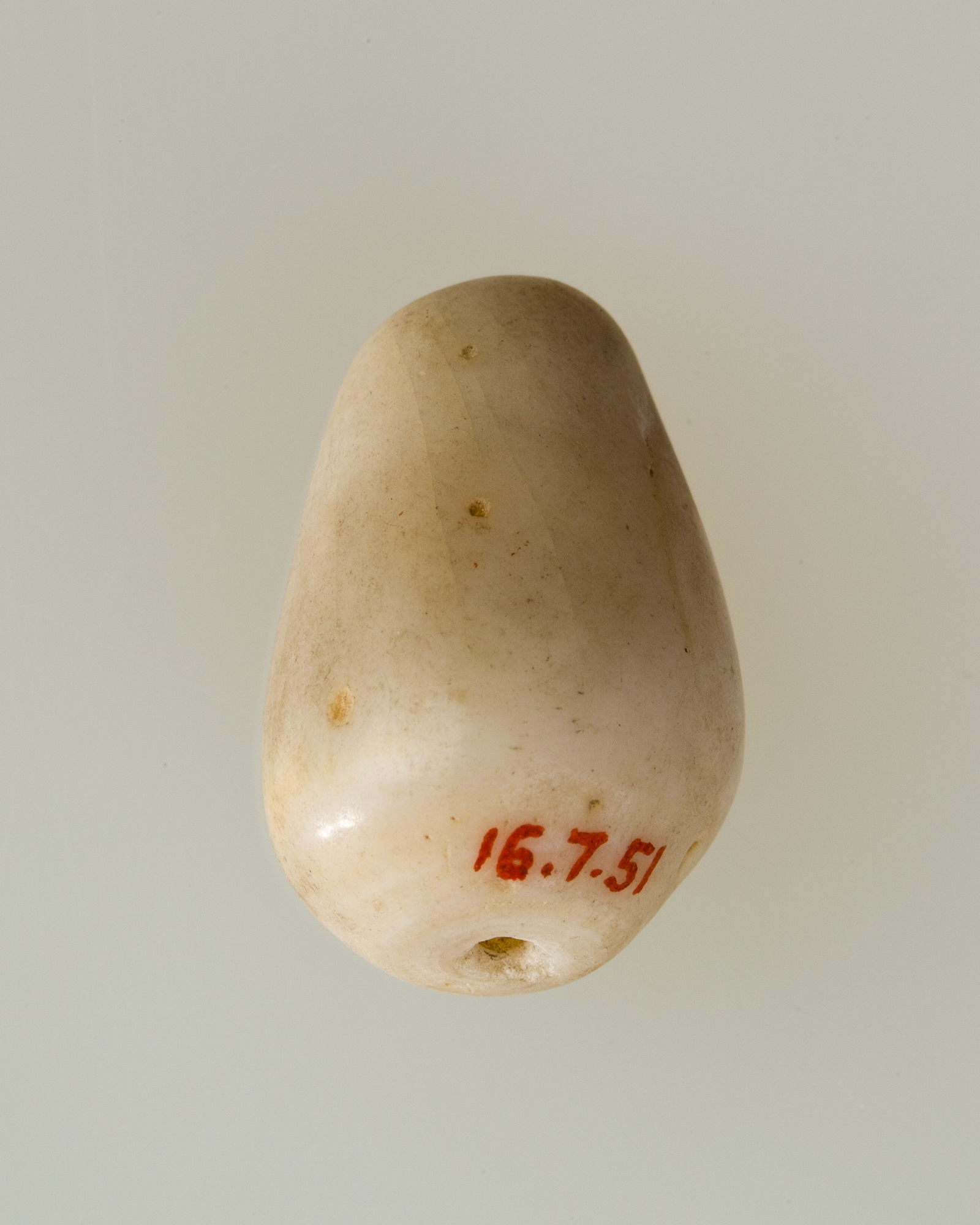 Shell pendant or bead