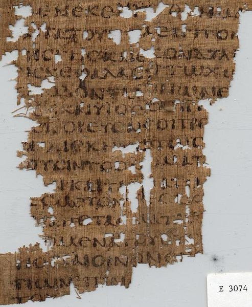 Book of Amos