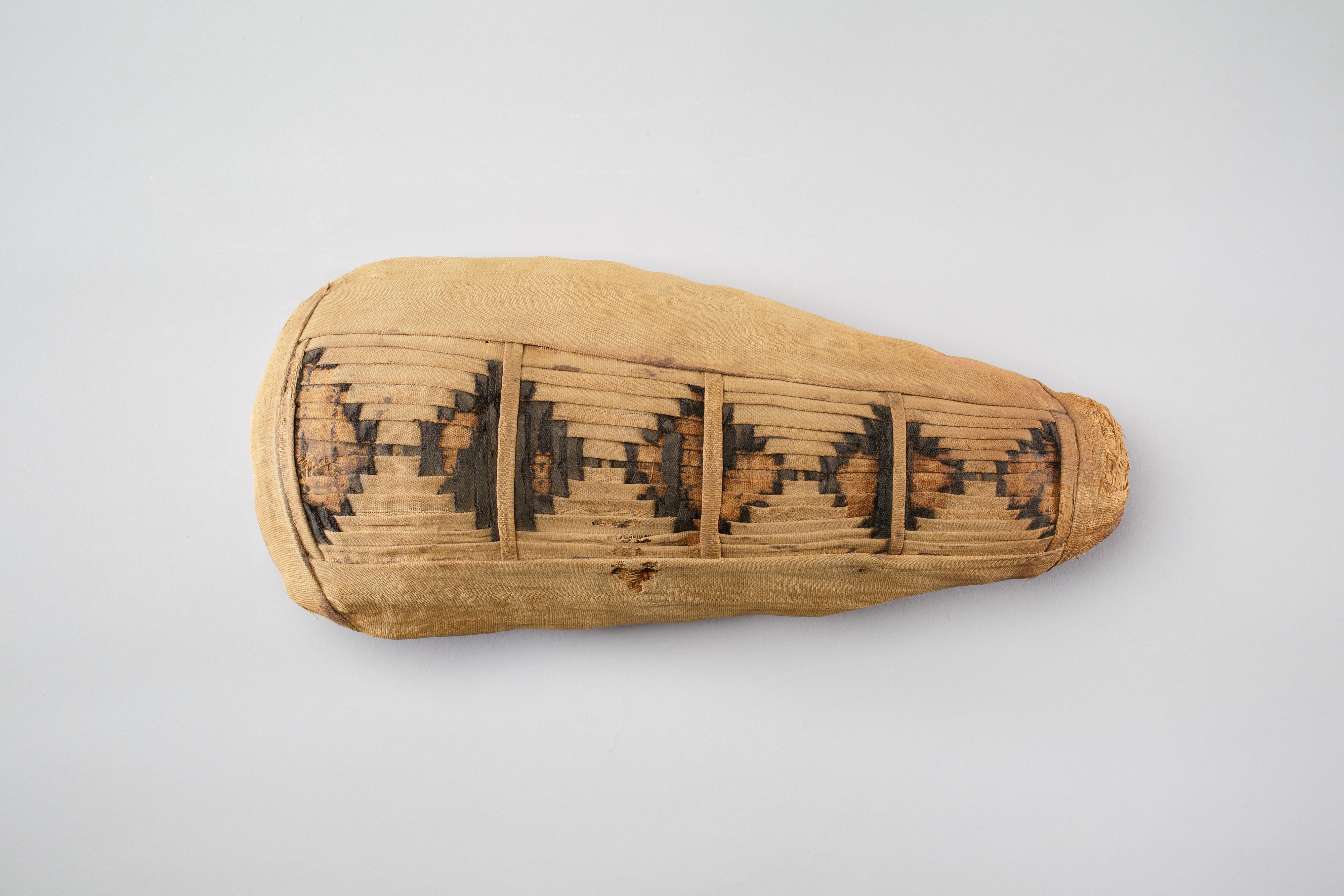 Sacred animal mummy containing small ibises