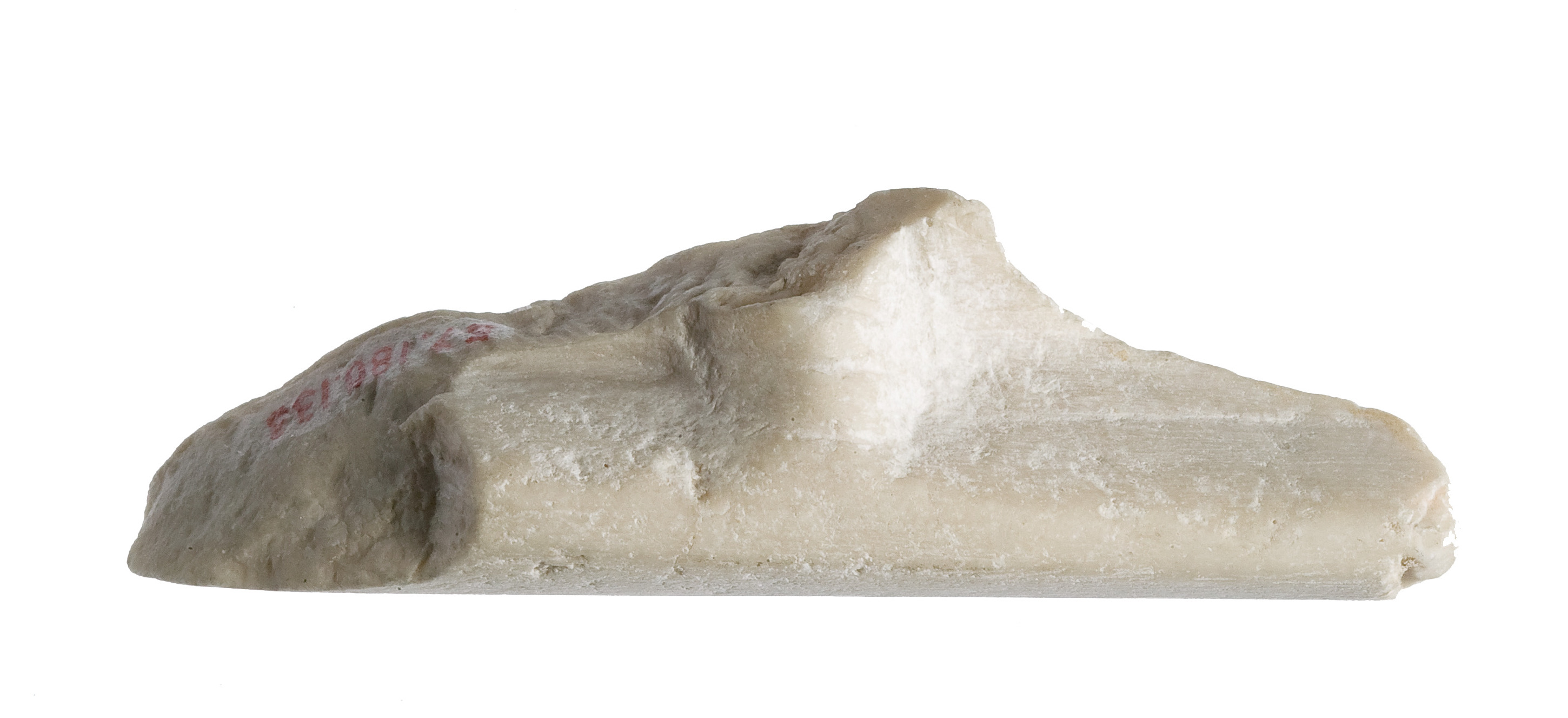 Fragment with unknown elements in high relief