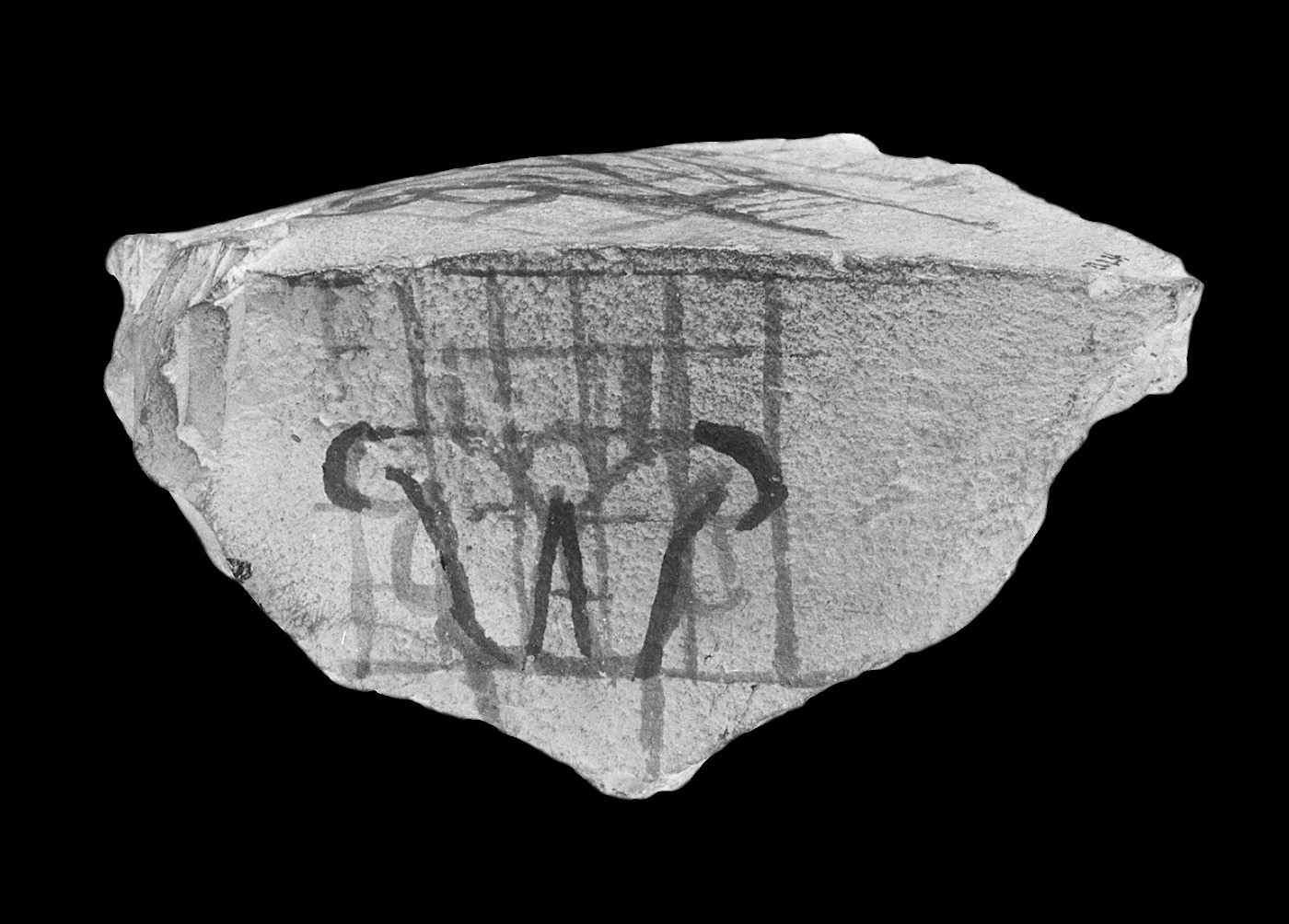 Ostracon with liliform capital