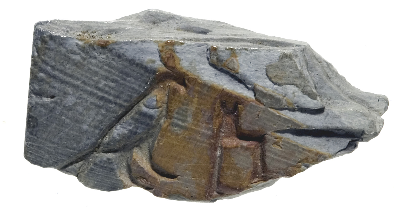 Fragment of an ivory tag