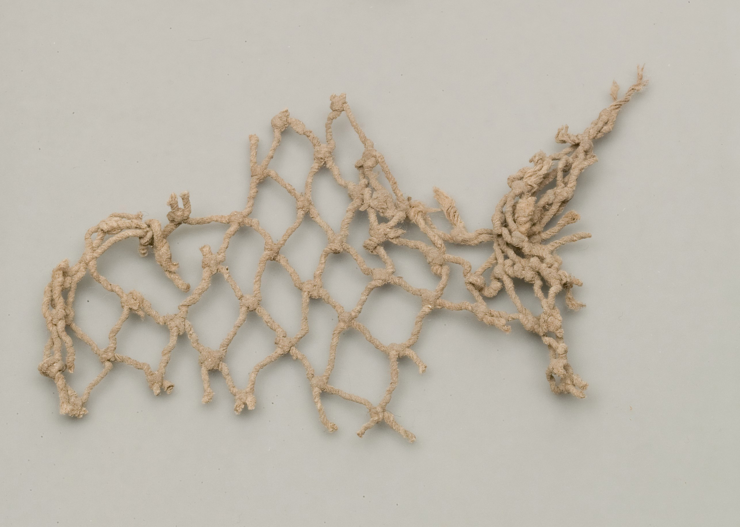 Net fragment