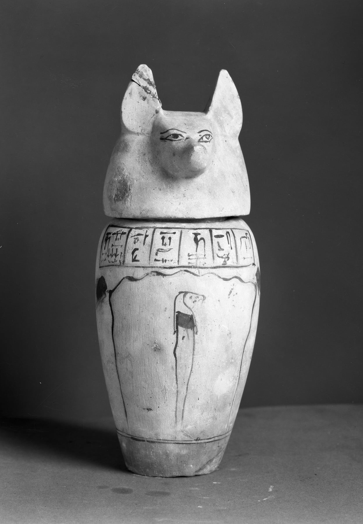 Canopic Jar with Jackal Head