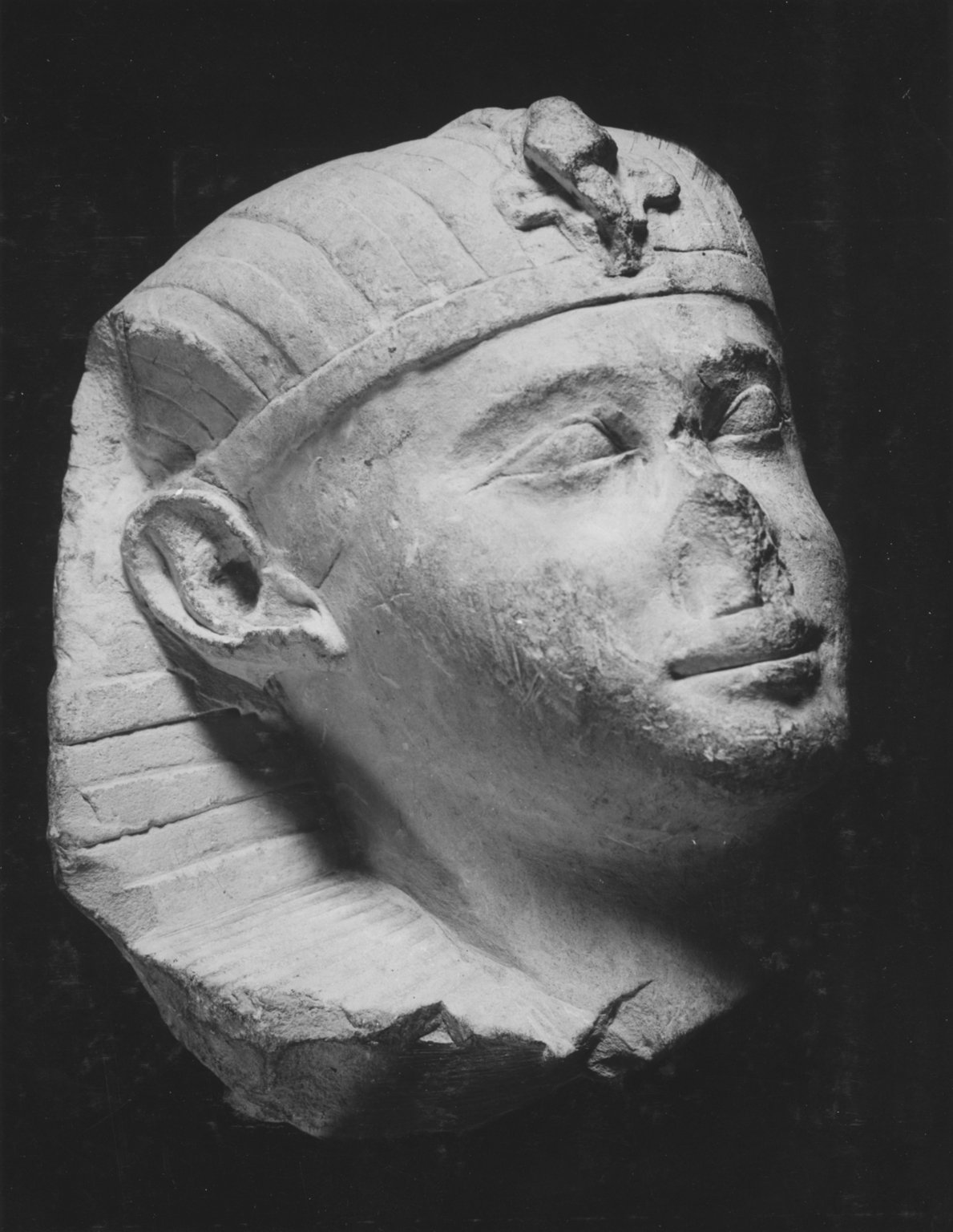 Royal Head