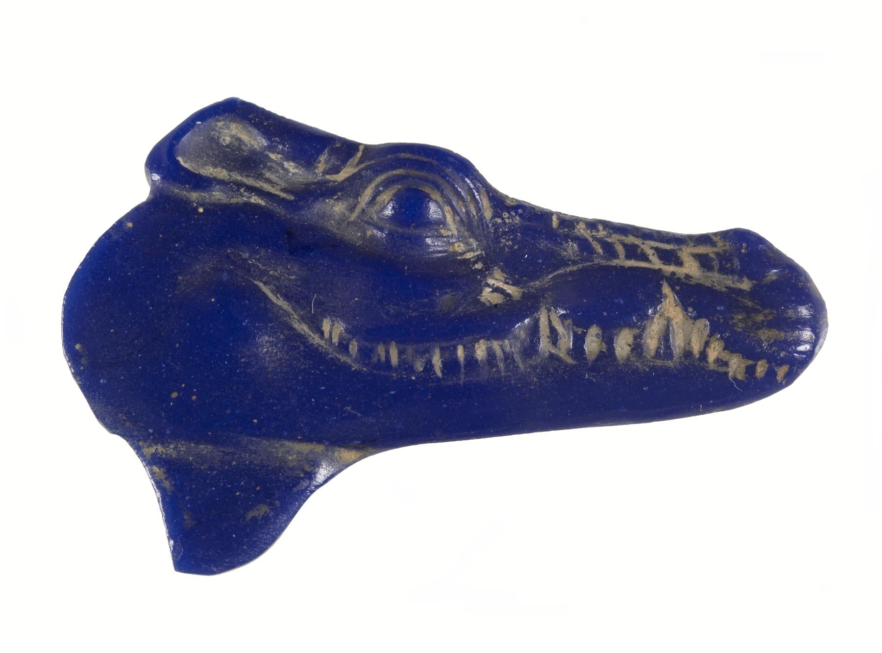 Head of a Crocodile