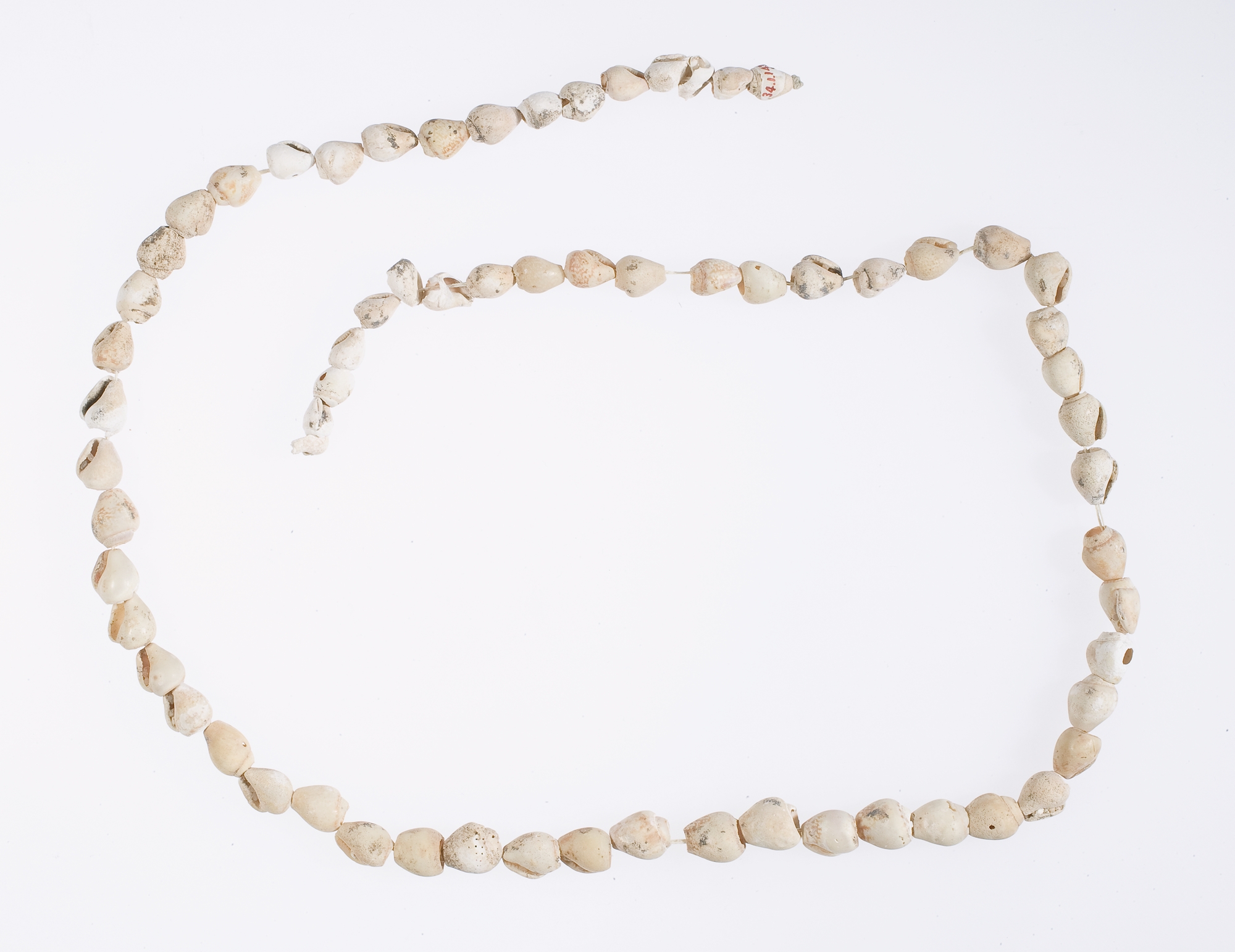 Hepy, String of periwinkle shells