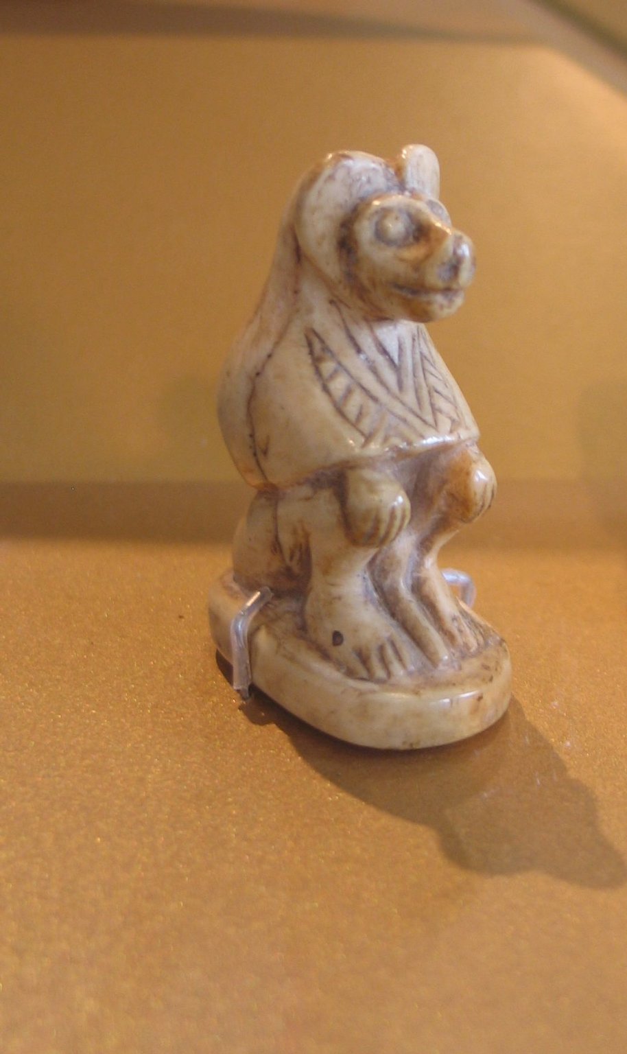 Baboon
