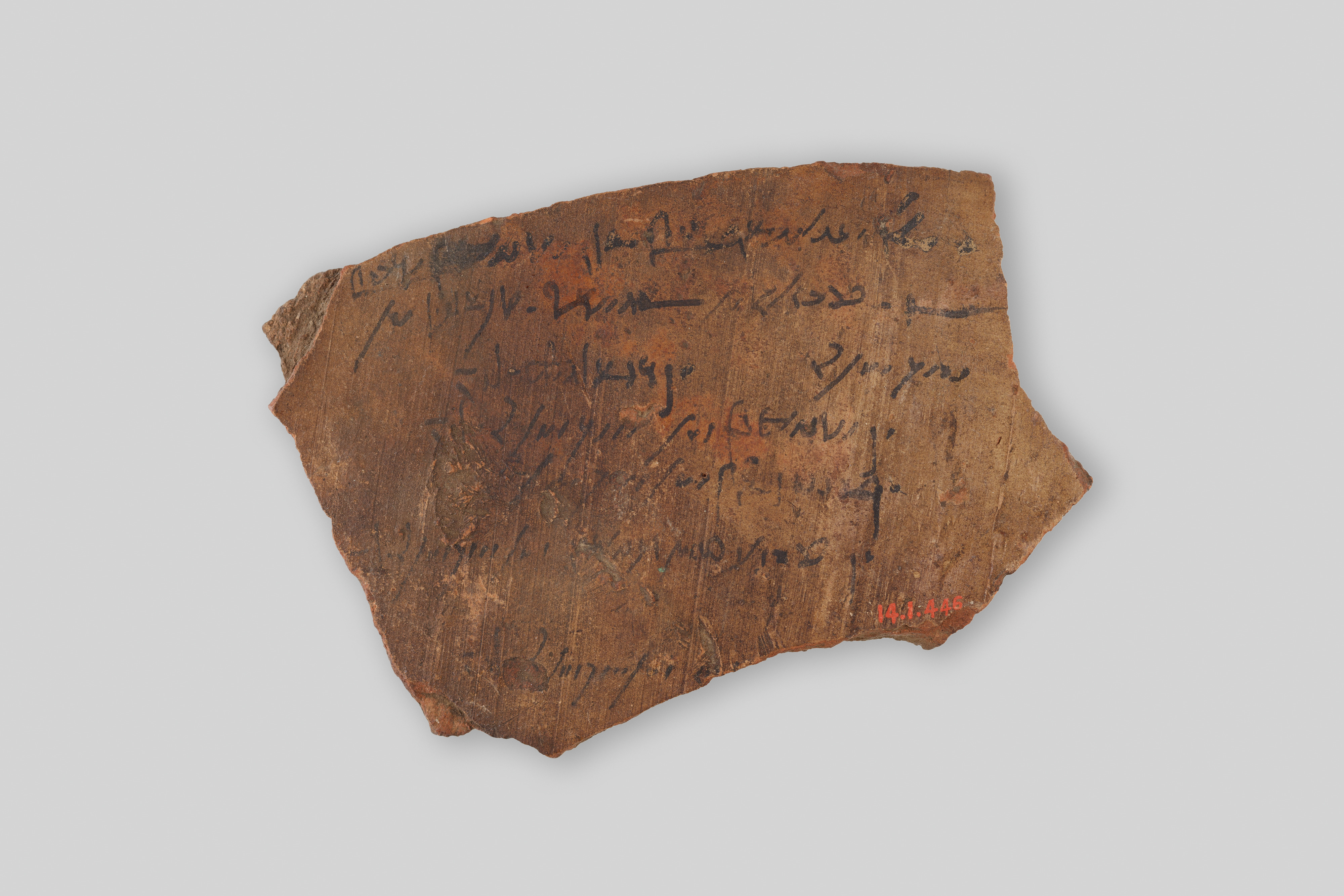 Ostracon