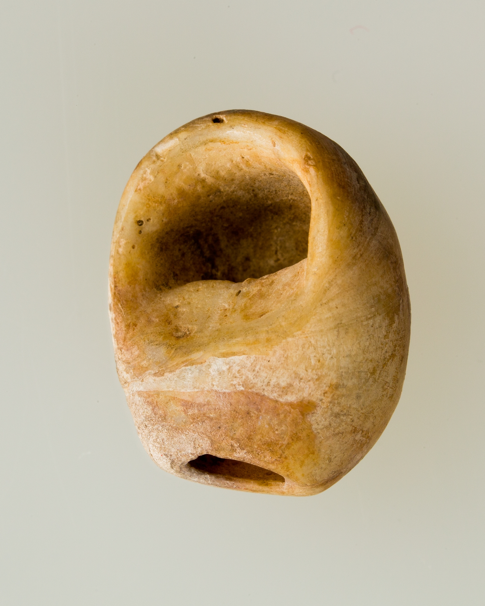 Shell pendant or bead