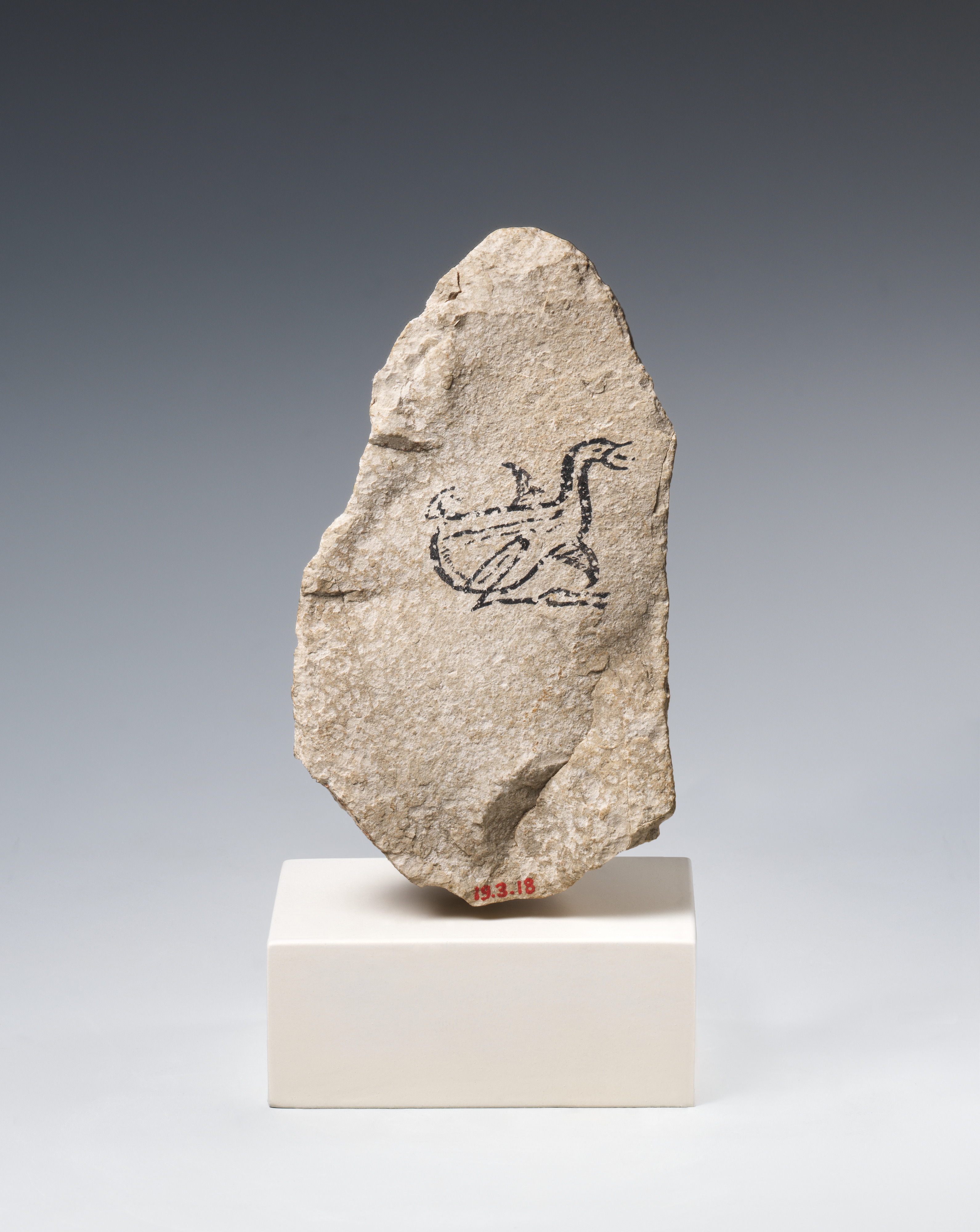 Ostracon