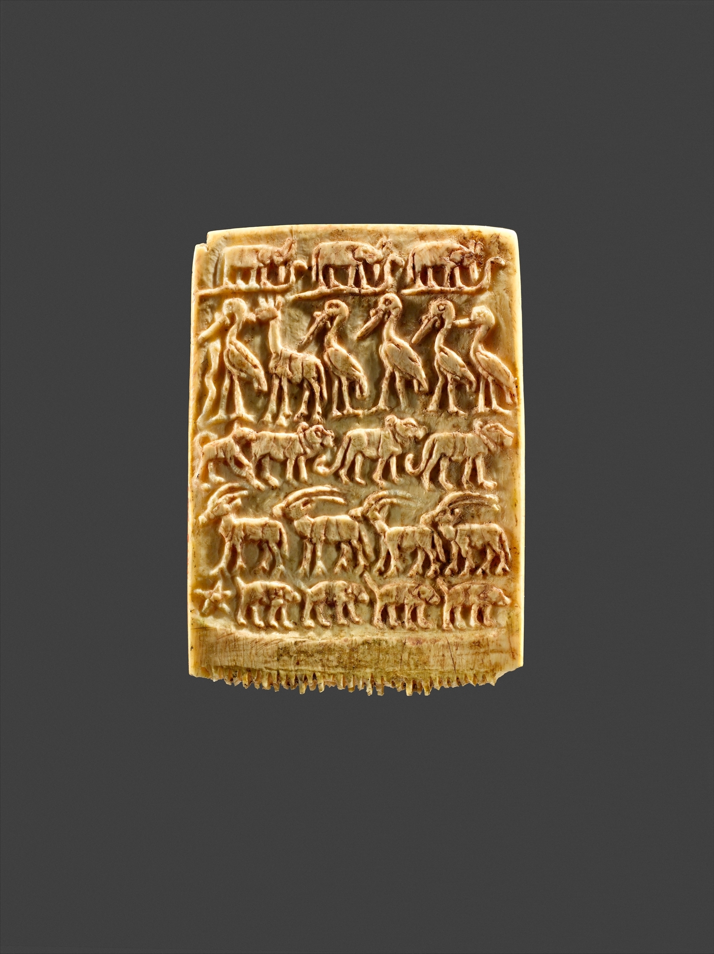 Hair Comb Decorated with Rows of Wild Animals
