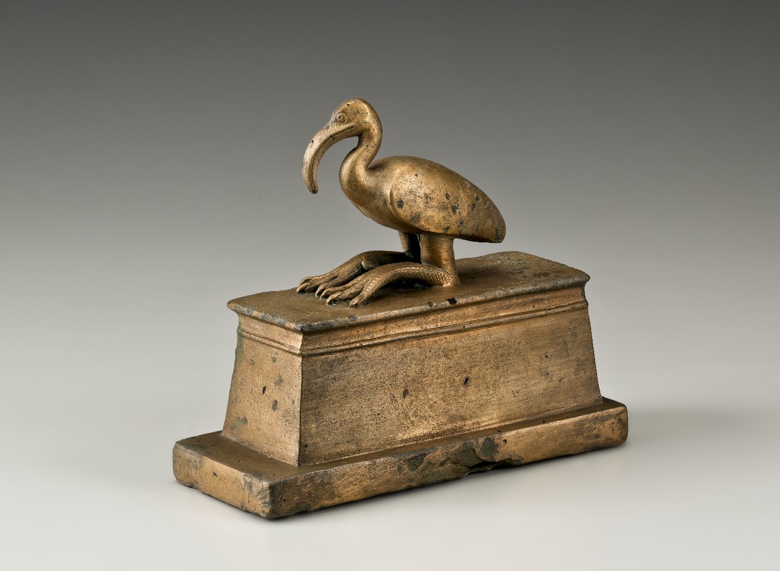 Ibis Coffin