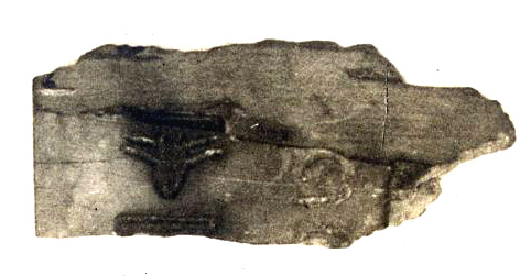 Fragment of an ivory tag