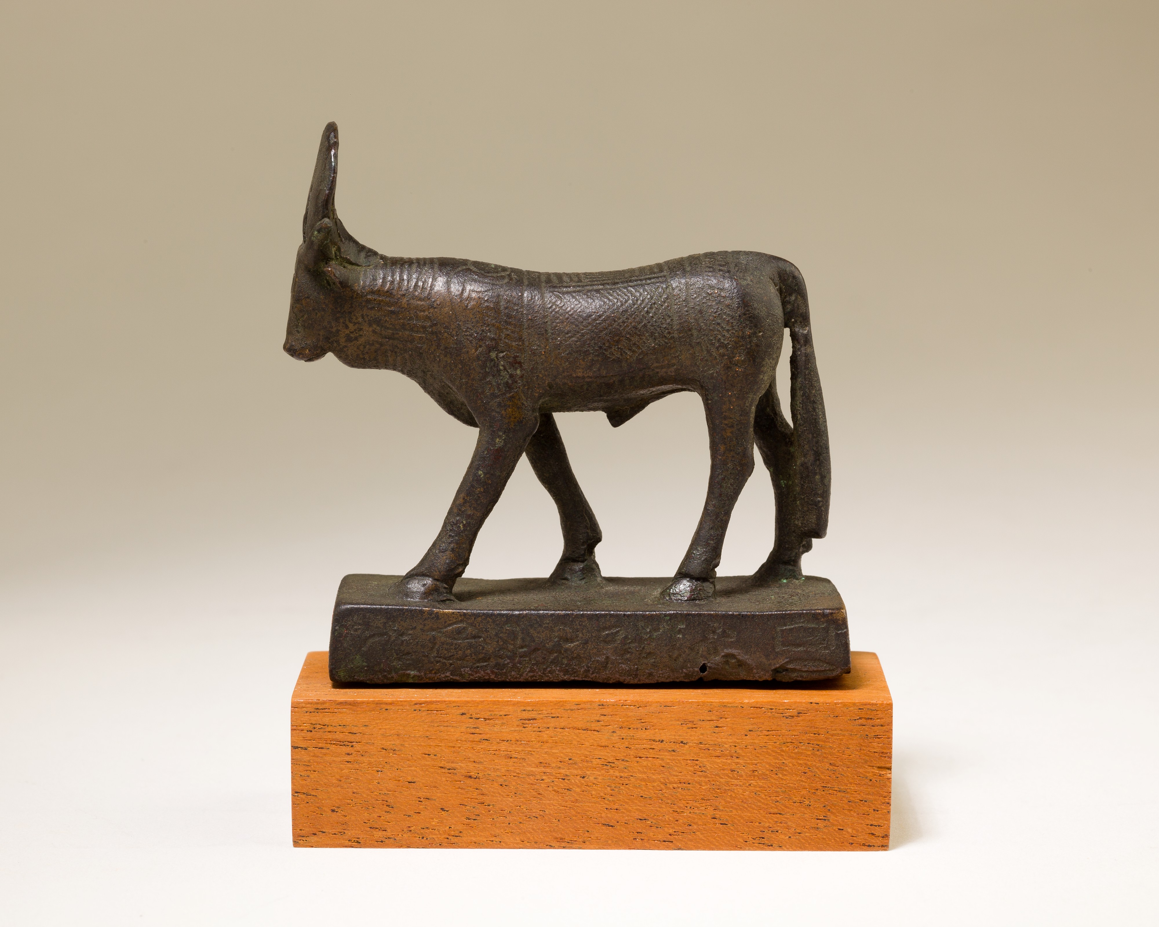 Apis figure inscribed for Padishernefer son of Khonsuirdis