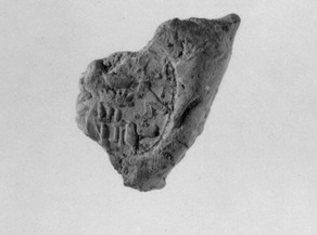 Document Sealings With the Throne Name of Amenhotep II