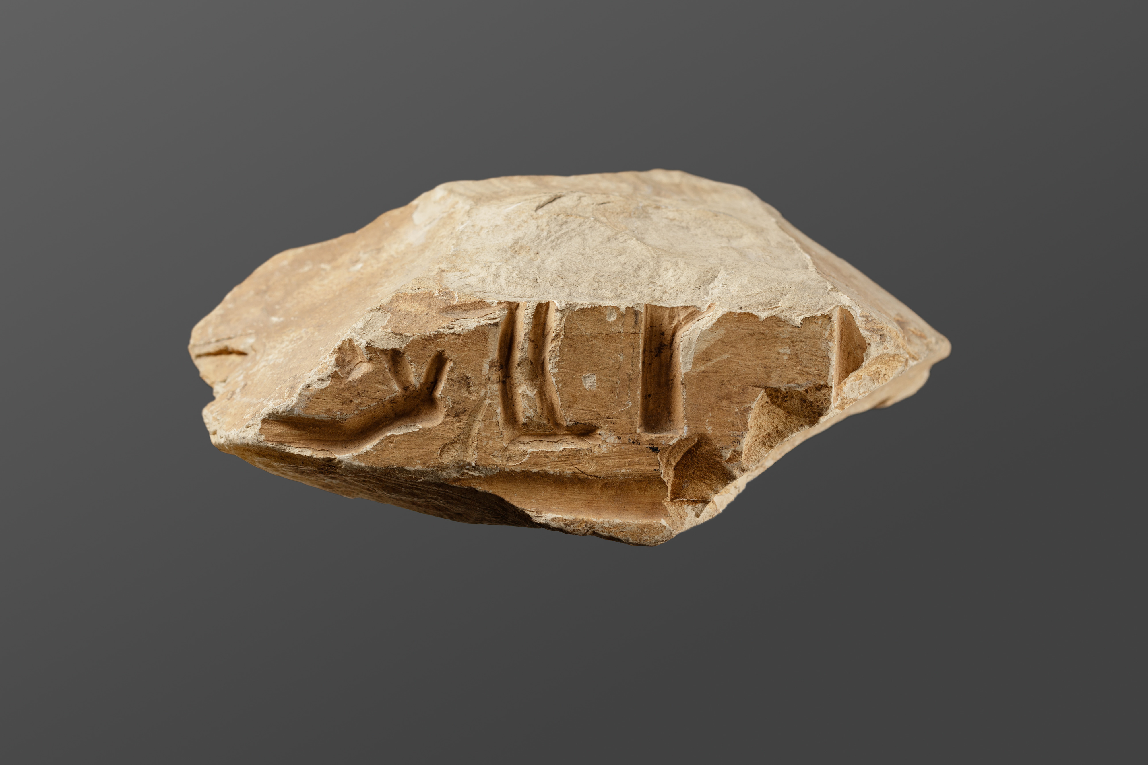 Relief fragment possibly from the tomb of Mereri