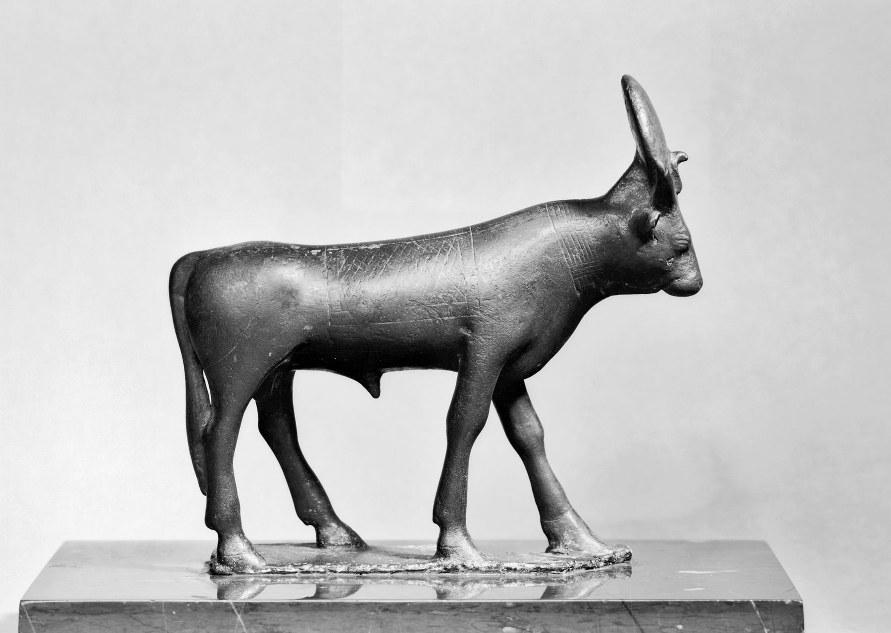 Apis Bull