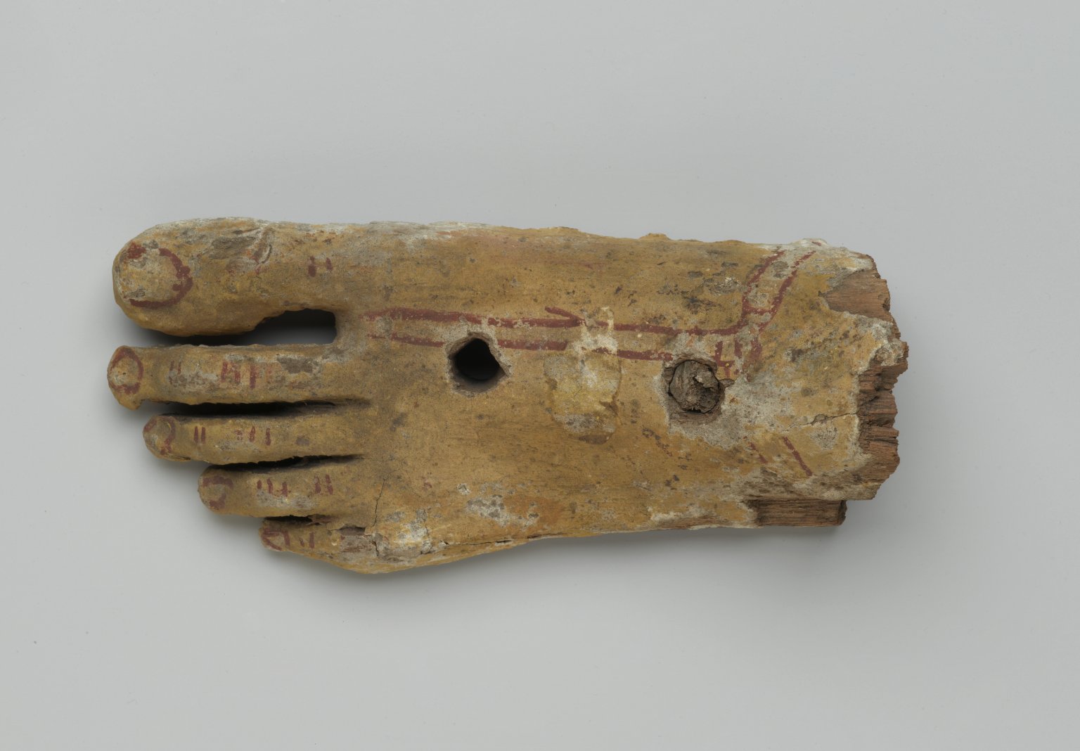 Left Foot from an Anthropoid Coffin