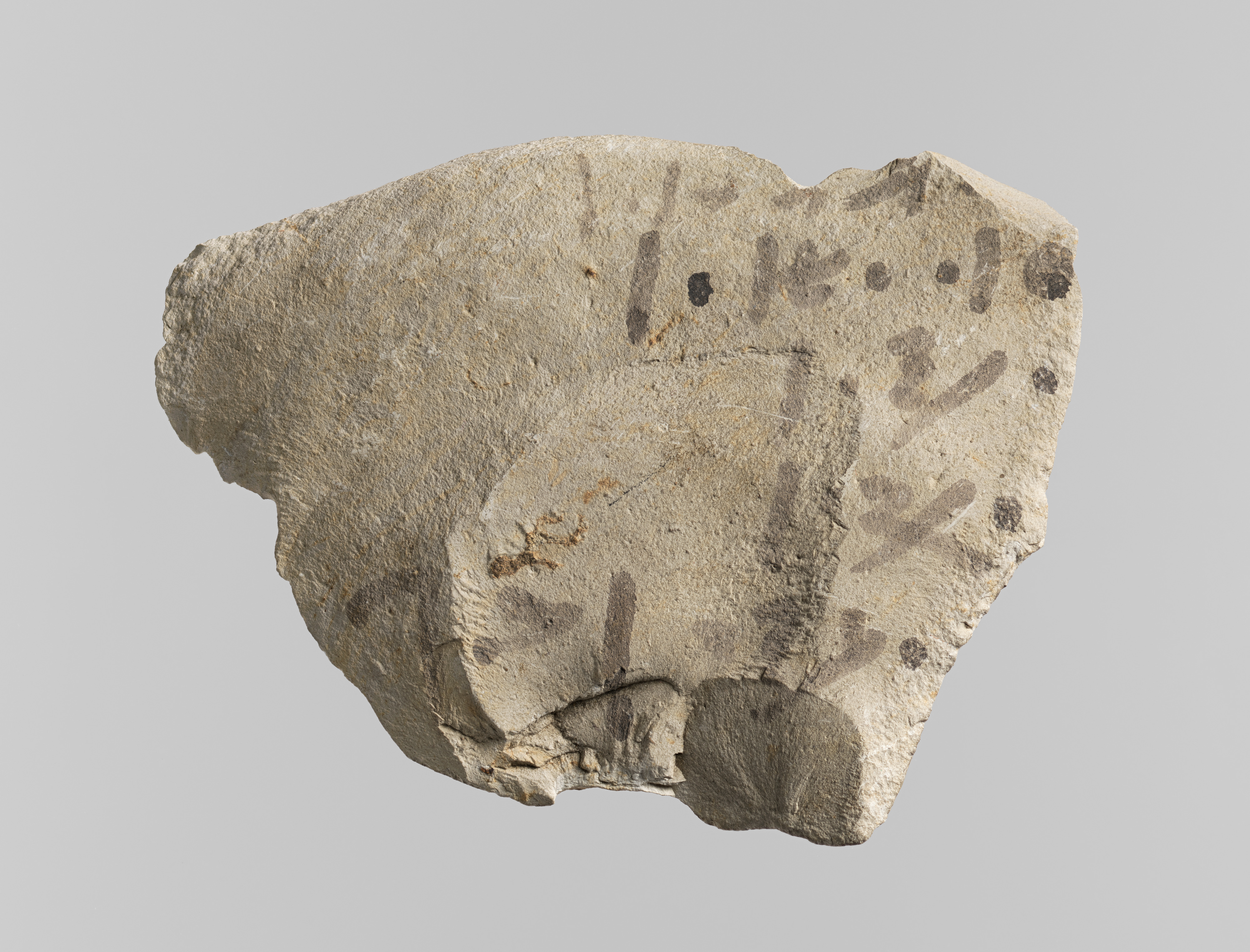 Hieratic ostracon with accounts