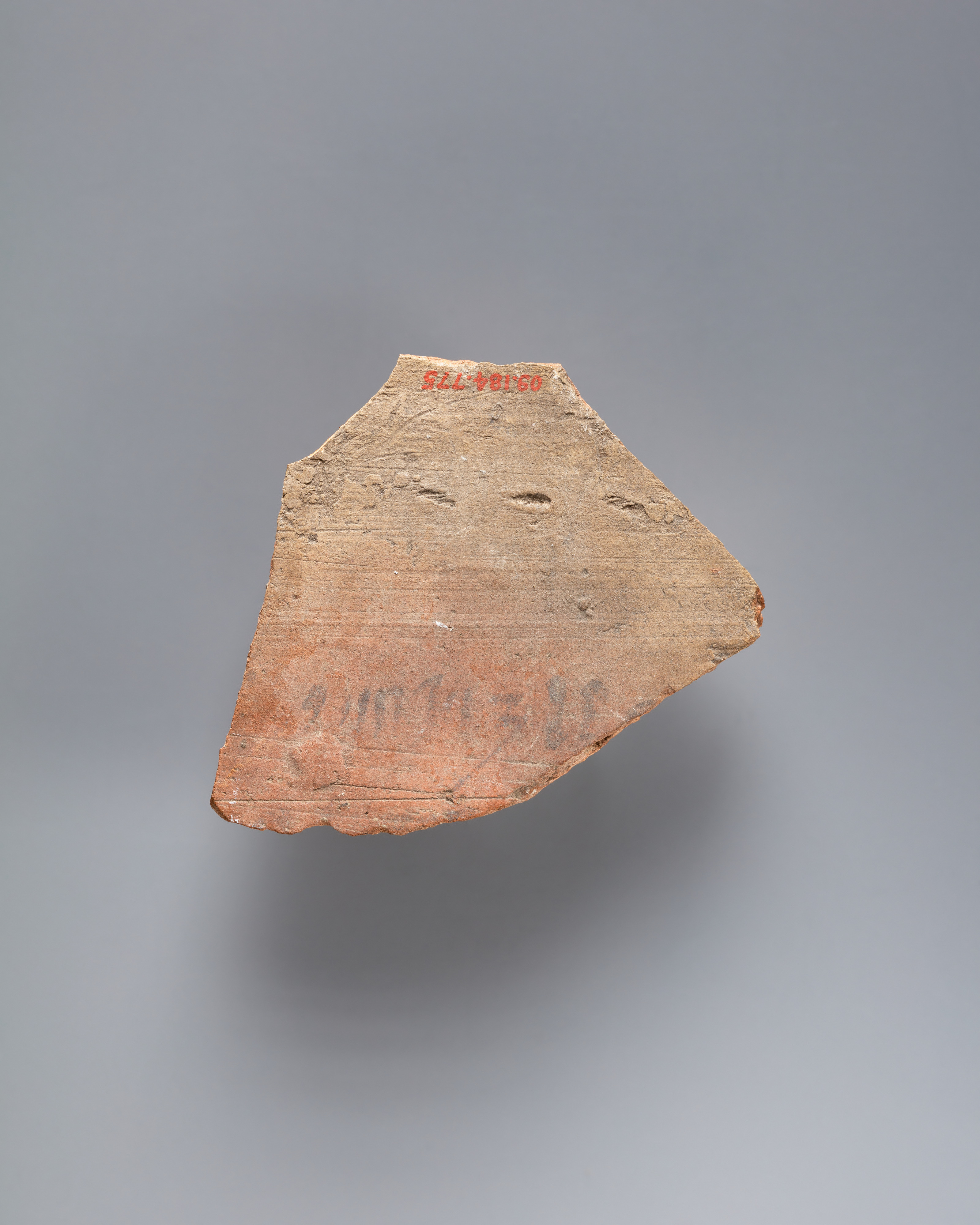 Ostracon