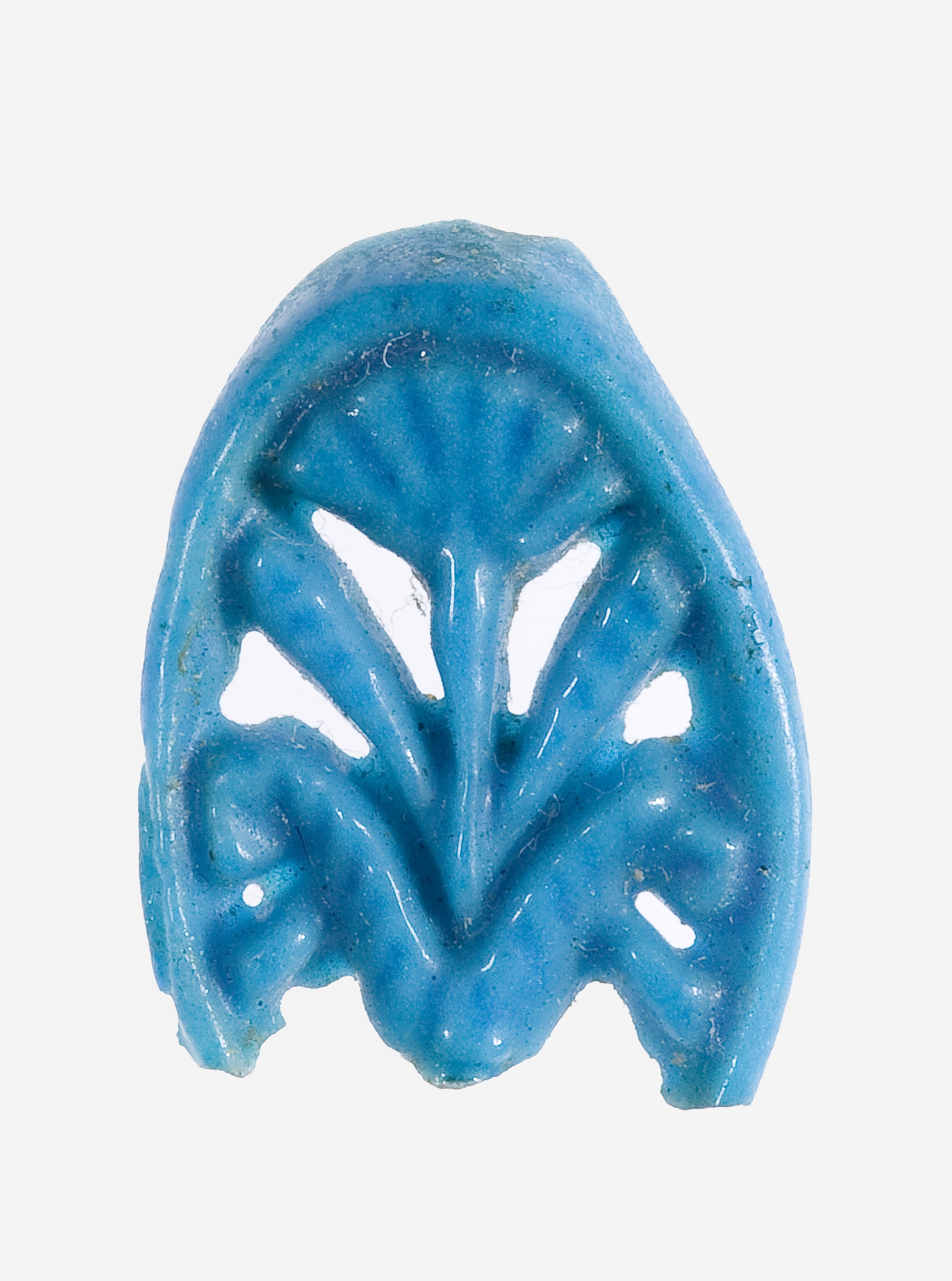 Ring Fragment Decorated with a Floral Design