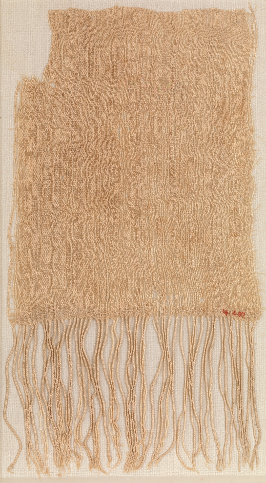 Sample of Fringed Cloth