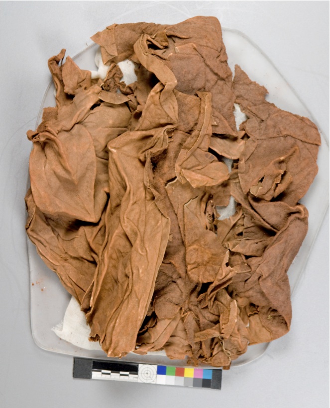 Leather bundle