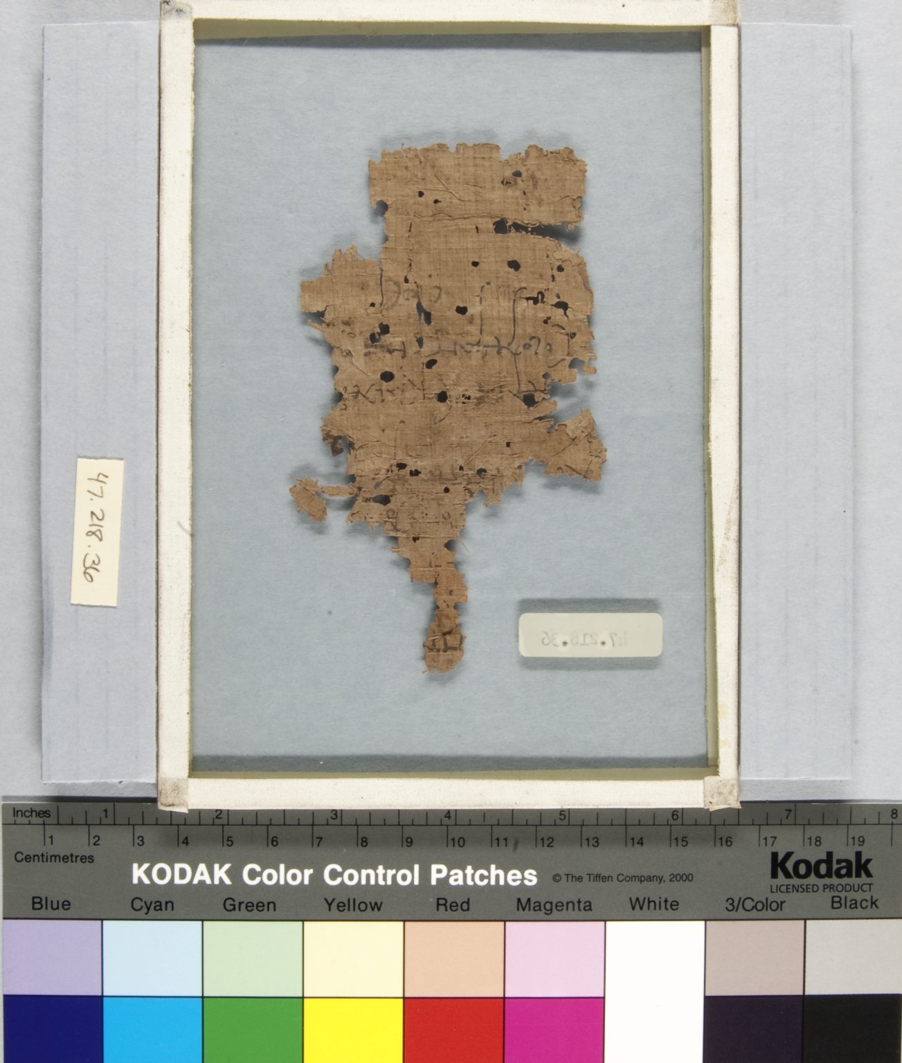 Papyrus Inscribed in Latin and Greek