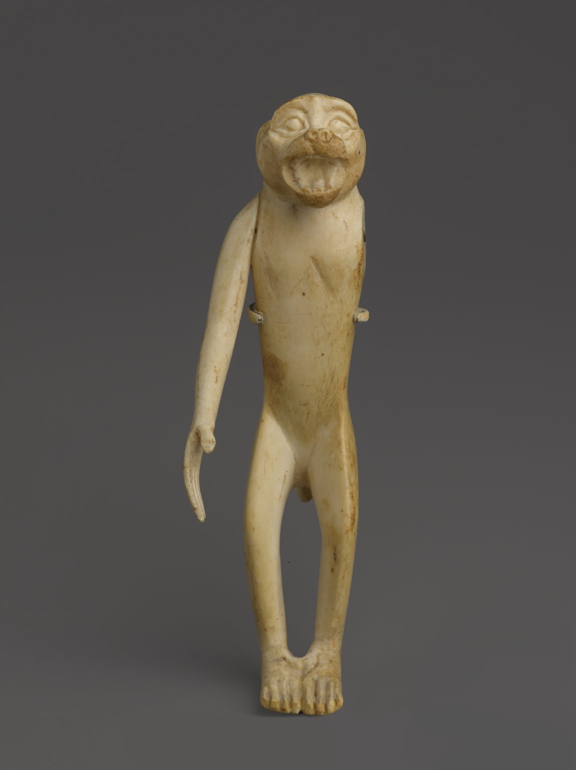 Monkey