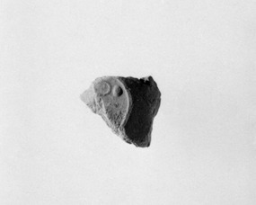 Document Sealing With the Throne Name of Amenhotep III